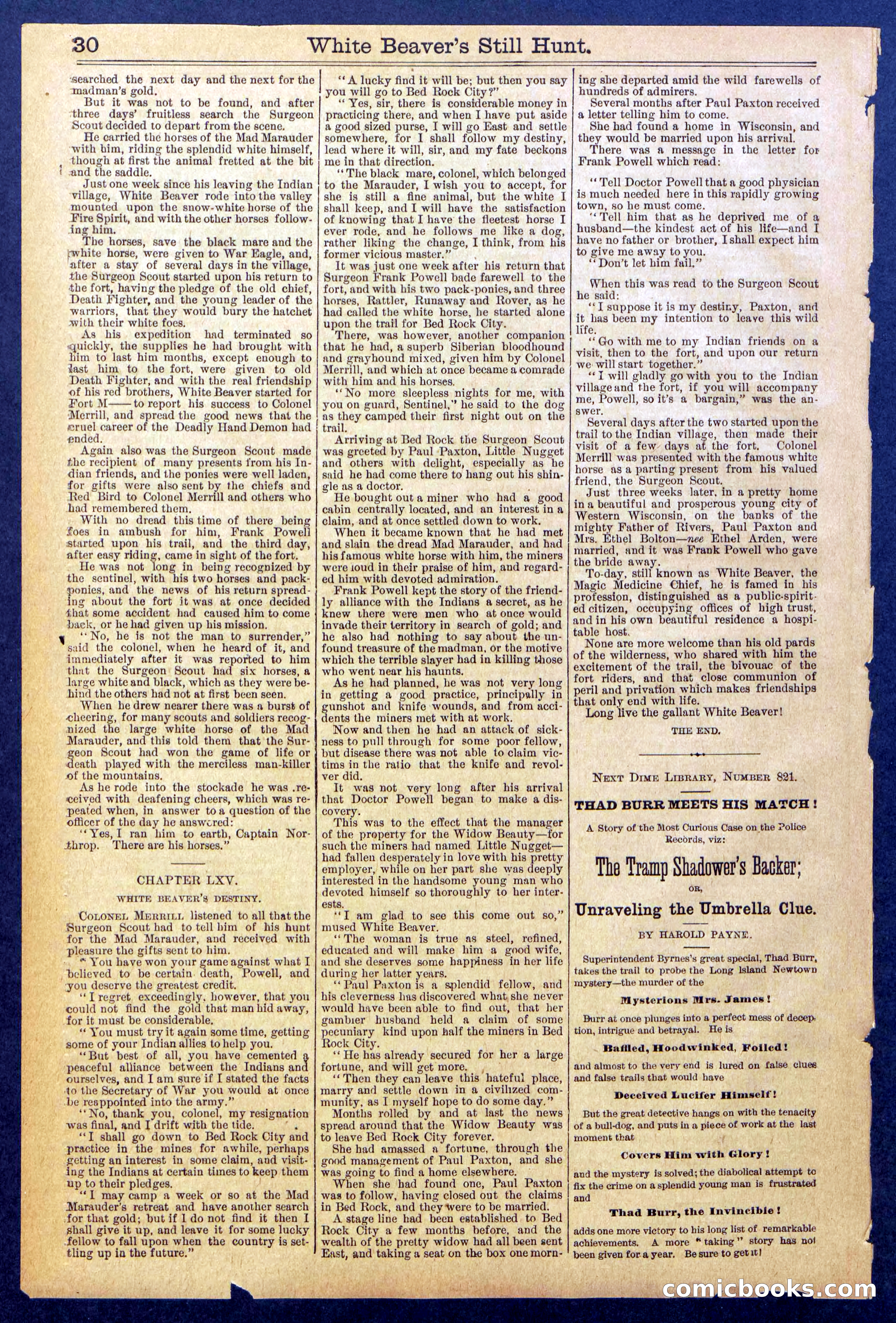 Beadle's Dime Library No. 820 — page 30 of 32