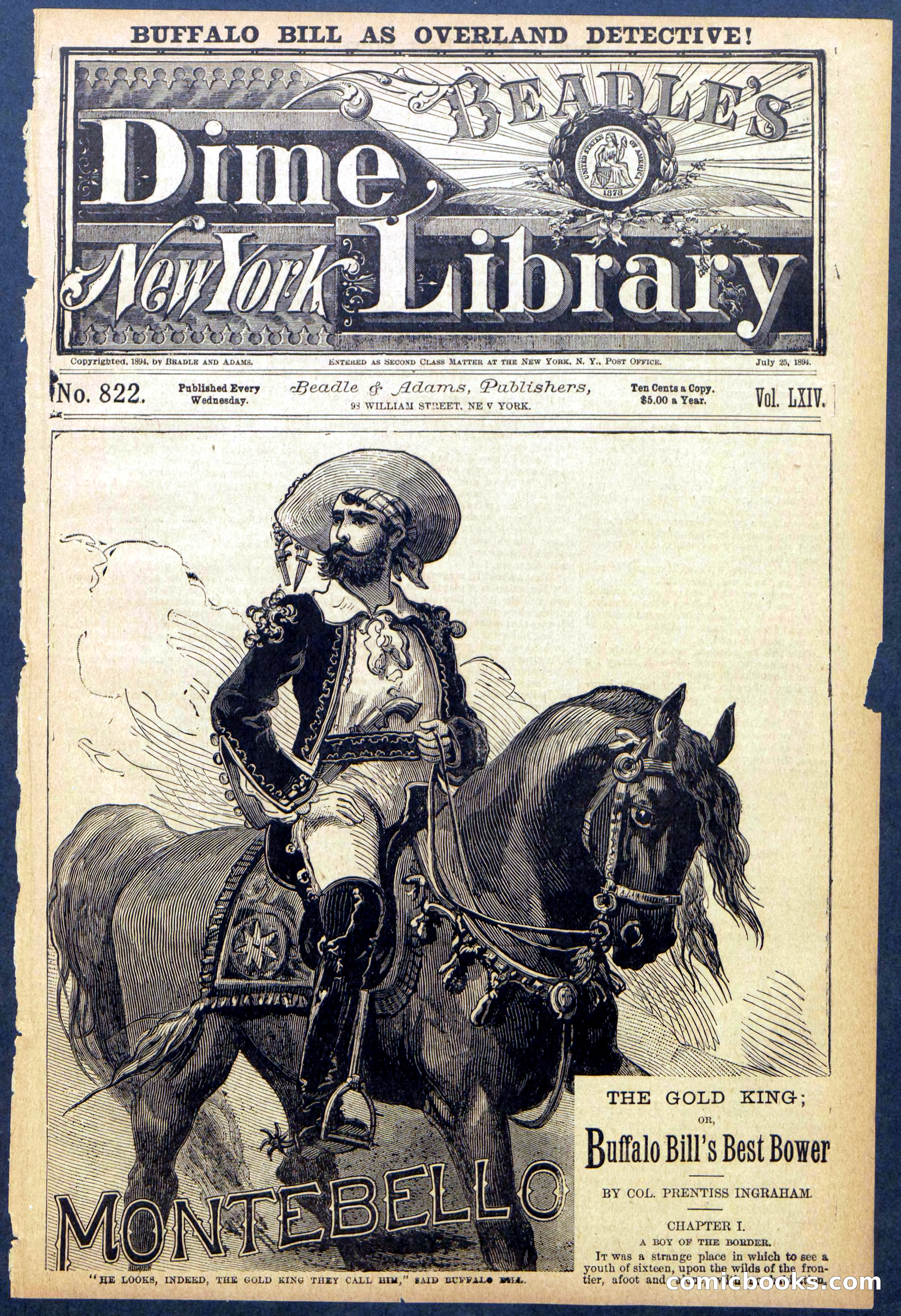 Beadle's Dime Library No. 822 — page 1 of 32
