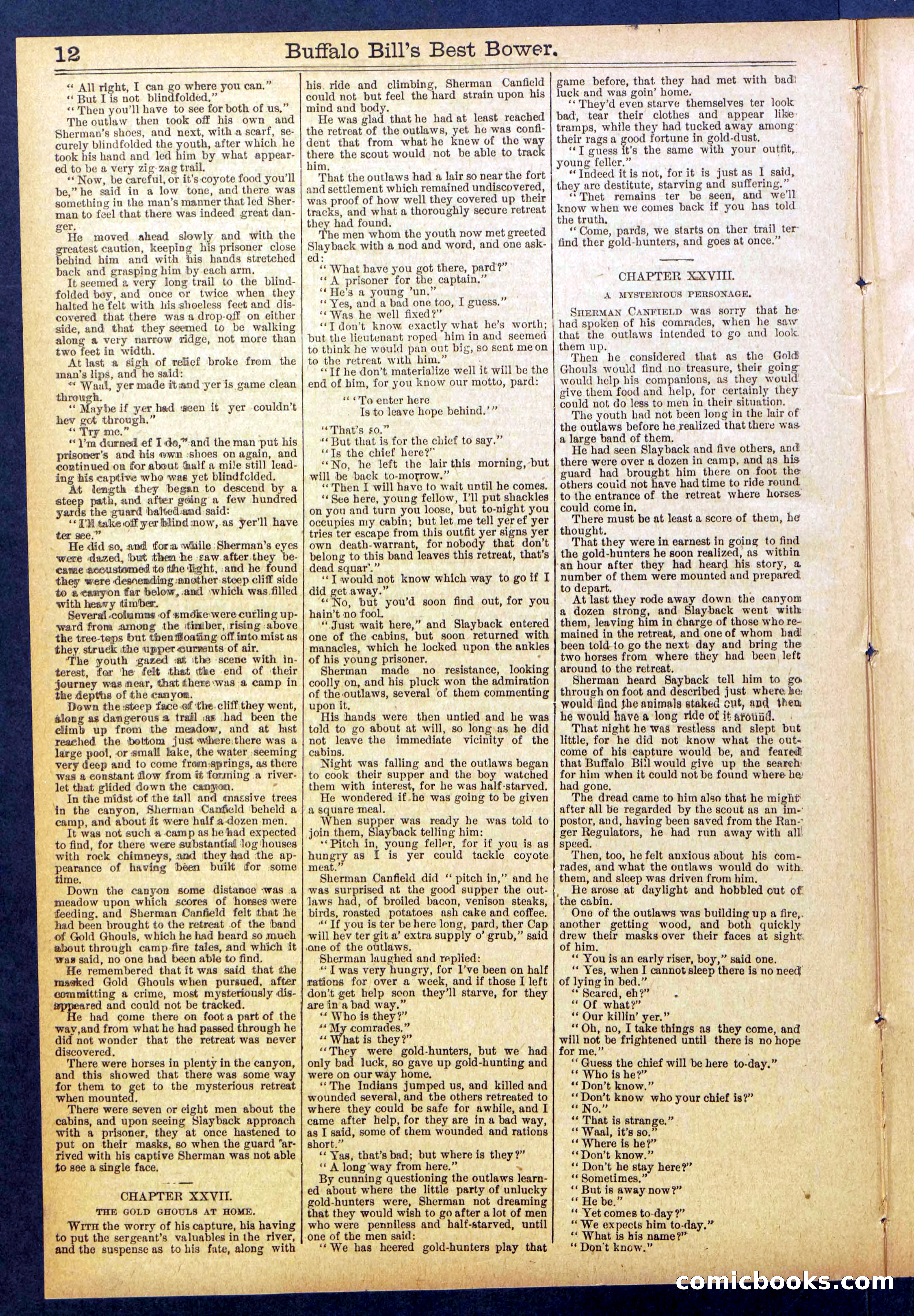 Beadle's Dime Library No. 822 — page 12 of 32