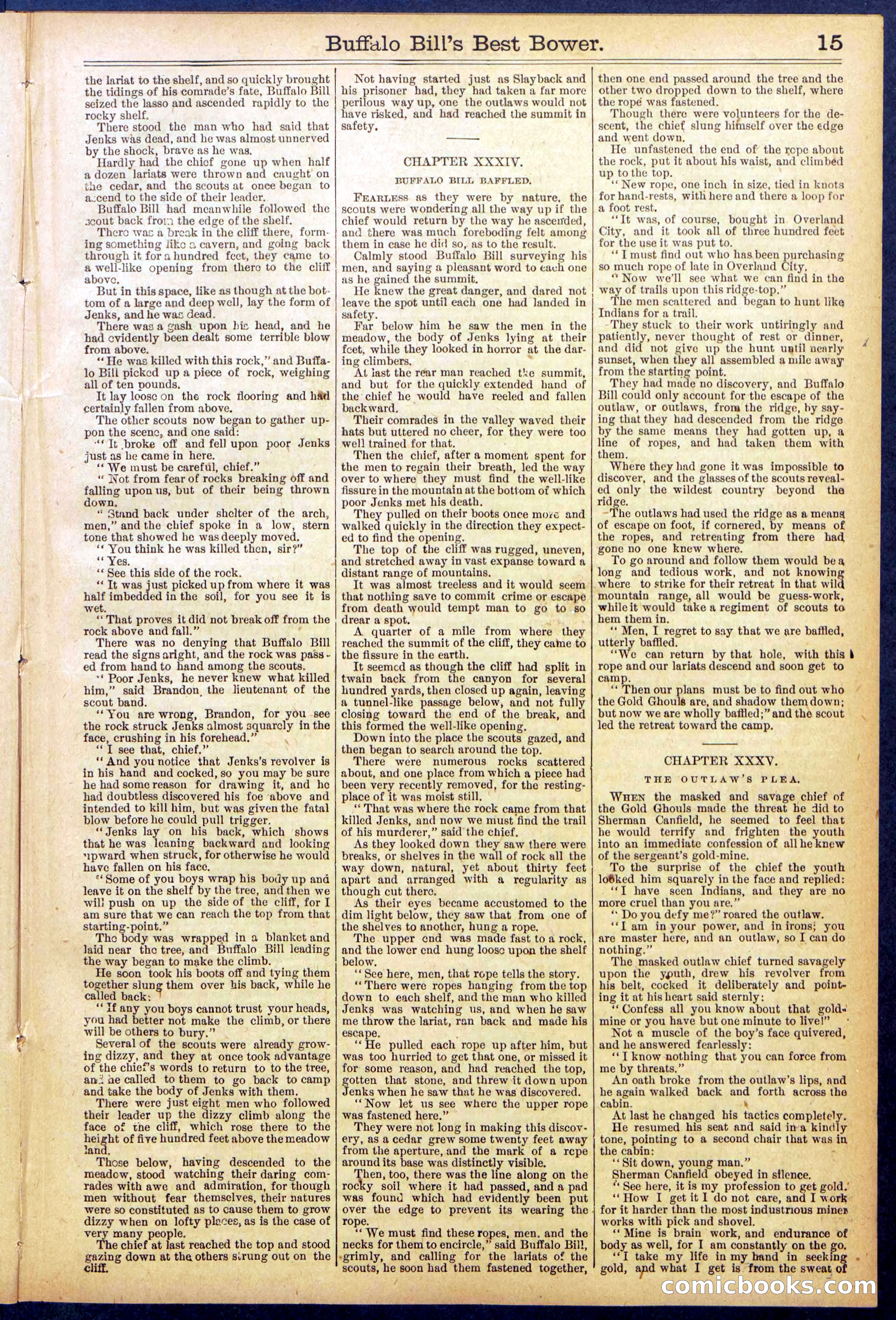 Beadle's Dime Library No. 822 — page 15 of 32