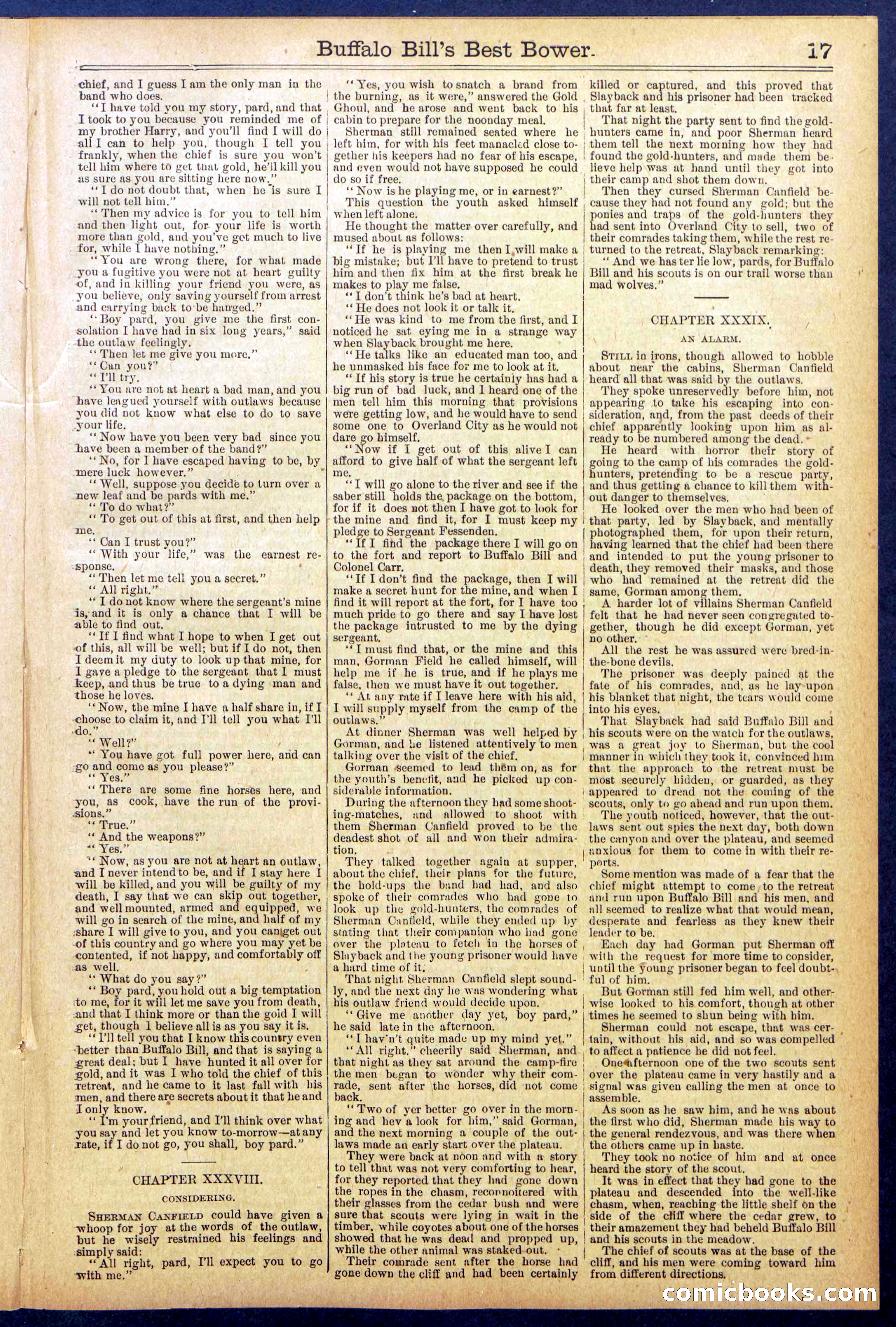 Beadle's Dime Library No. 822 — page 17 of 32