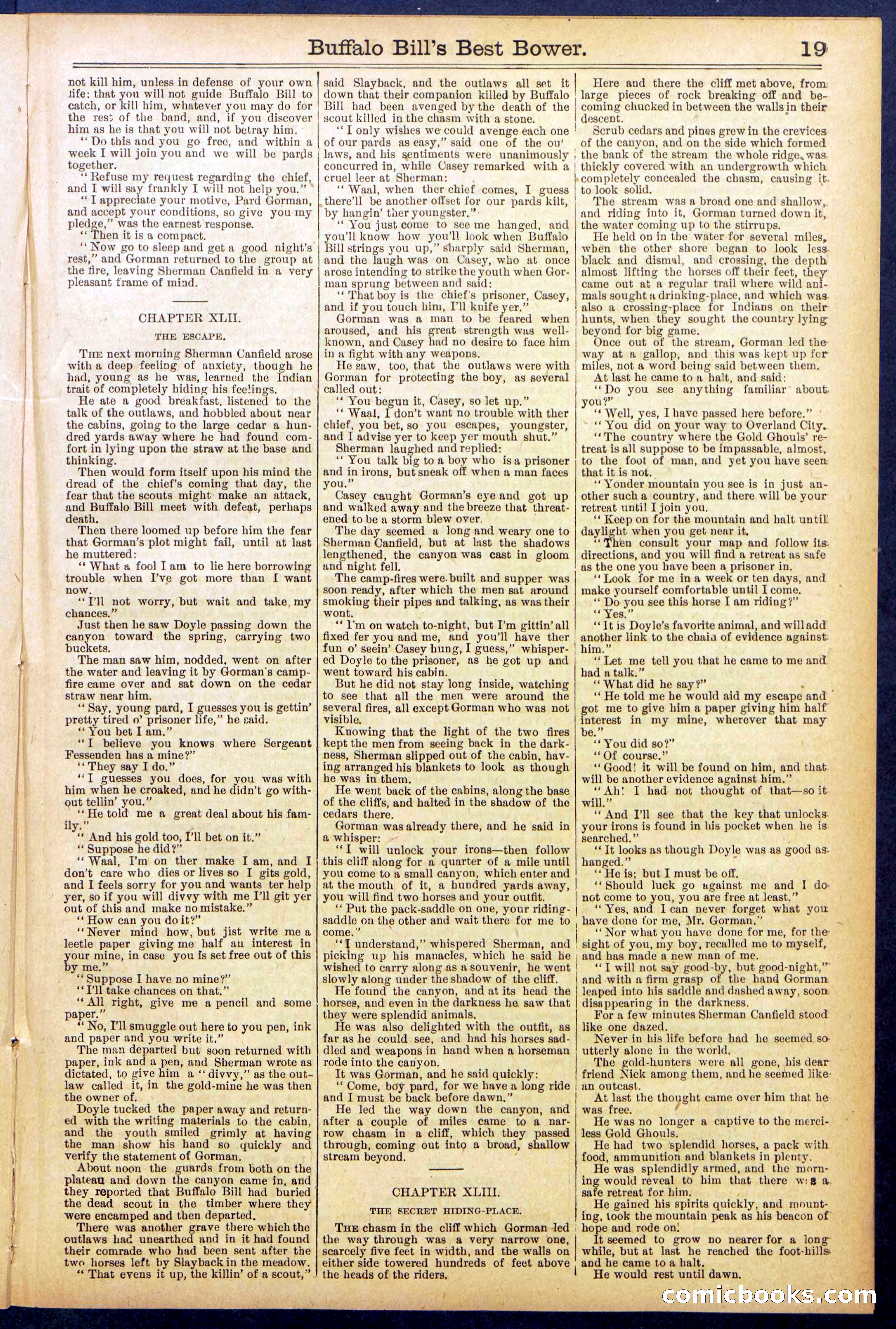 Beadle's Dime Library No. 822 — page 19 of 32