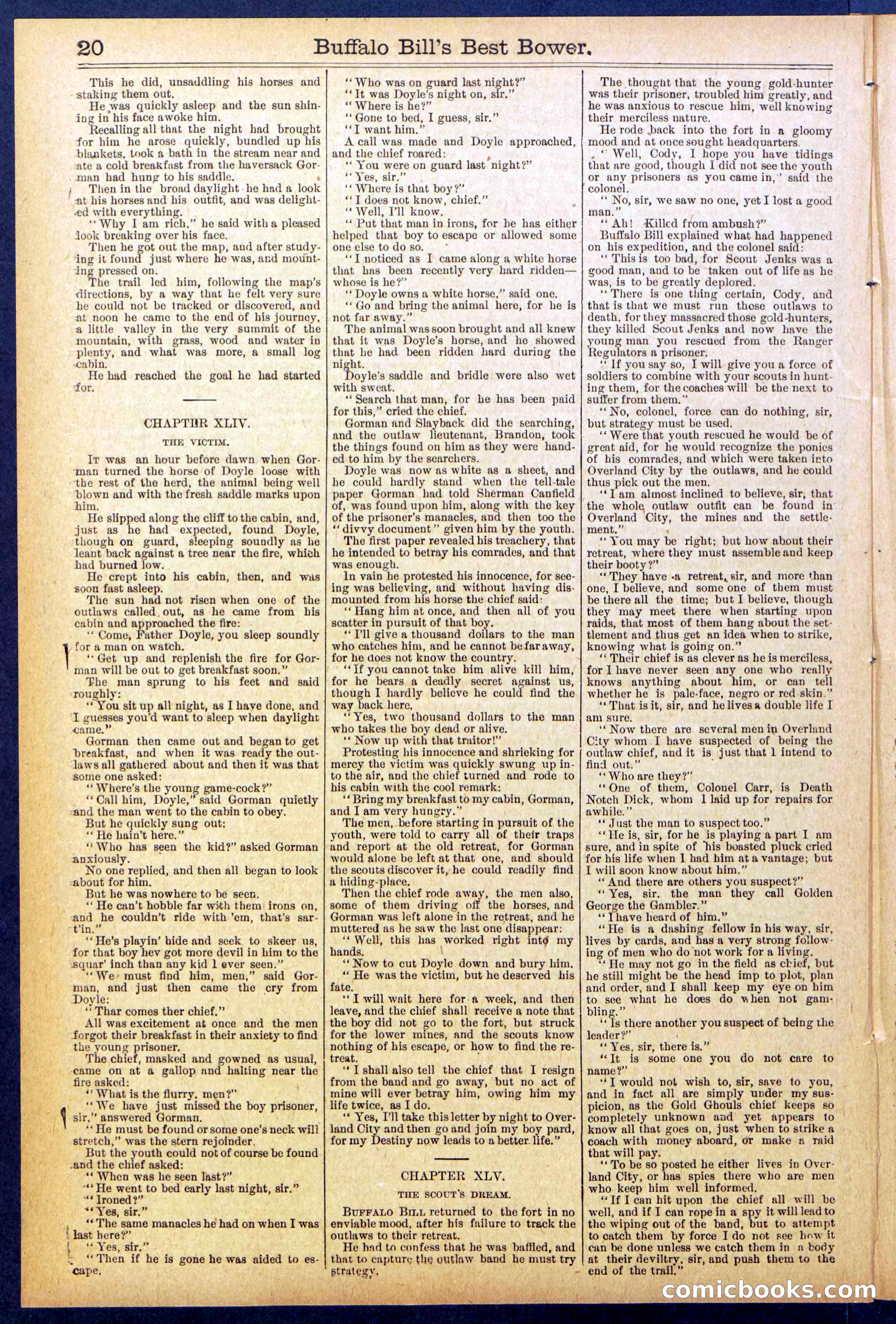 Beadle's Dime Library No. 822 — page 20 of 32