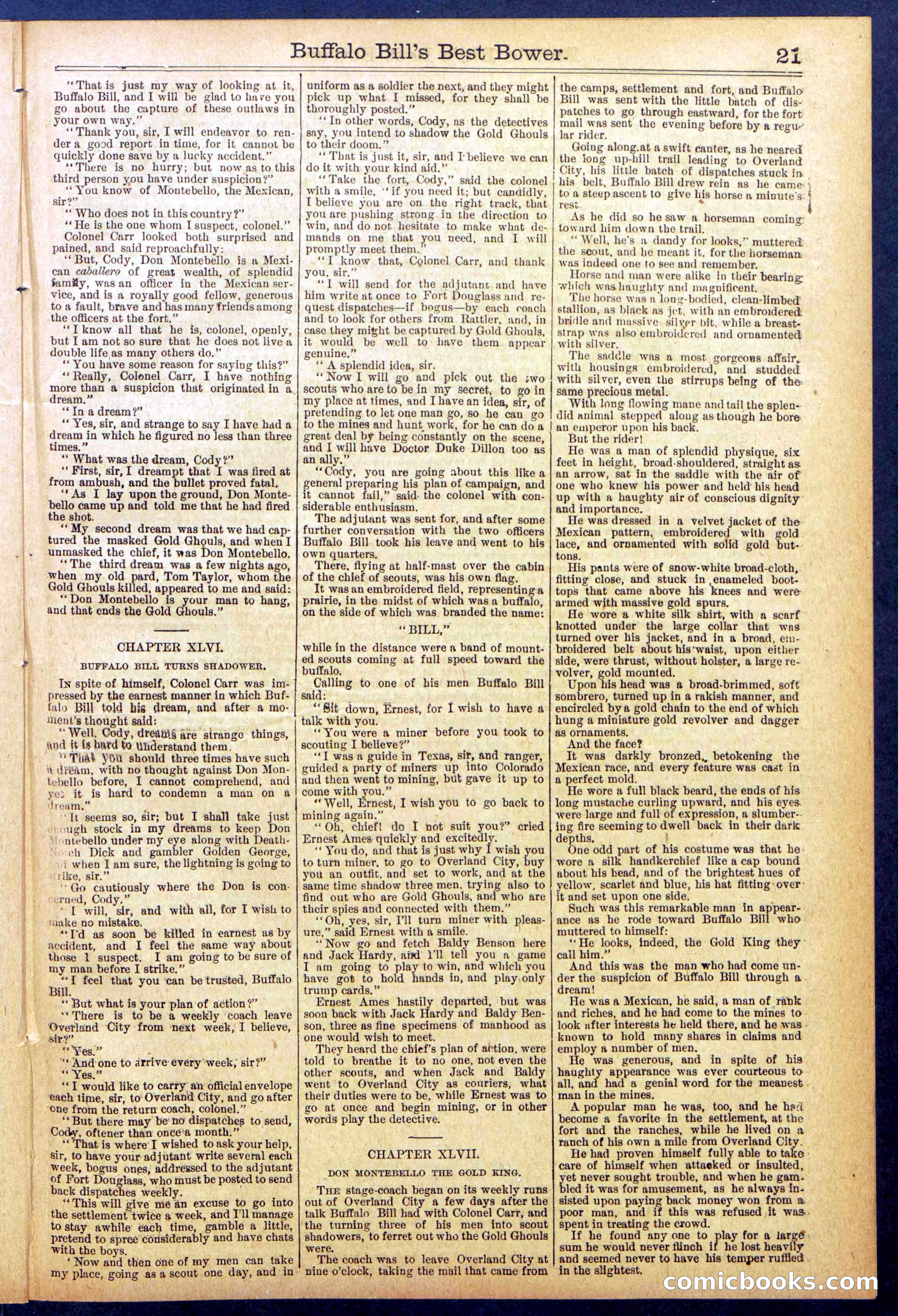 Beadle's Dime Library No. 822 — page 21 of 32