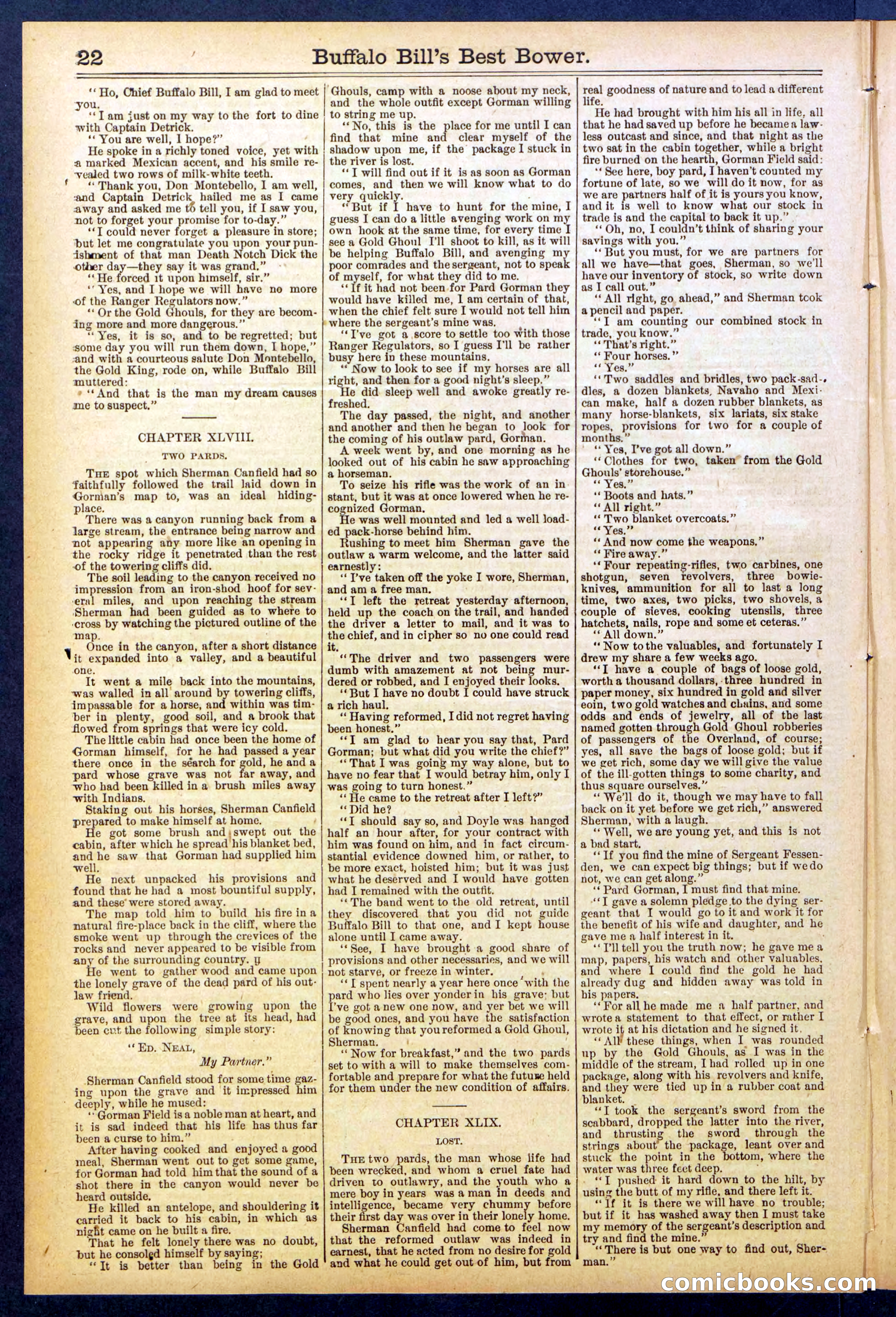 Beadle's Dime Library No. 822 — page 22 of 32