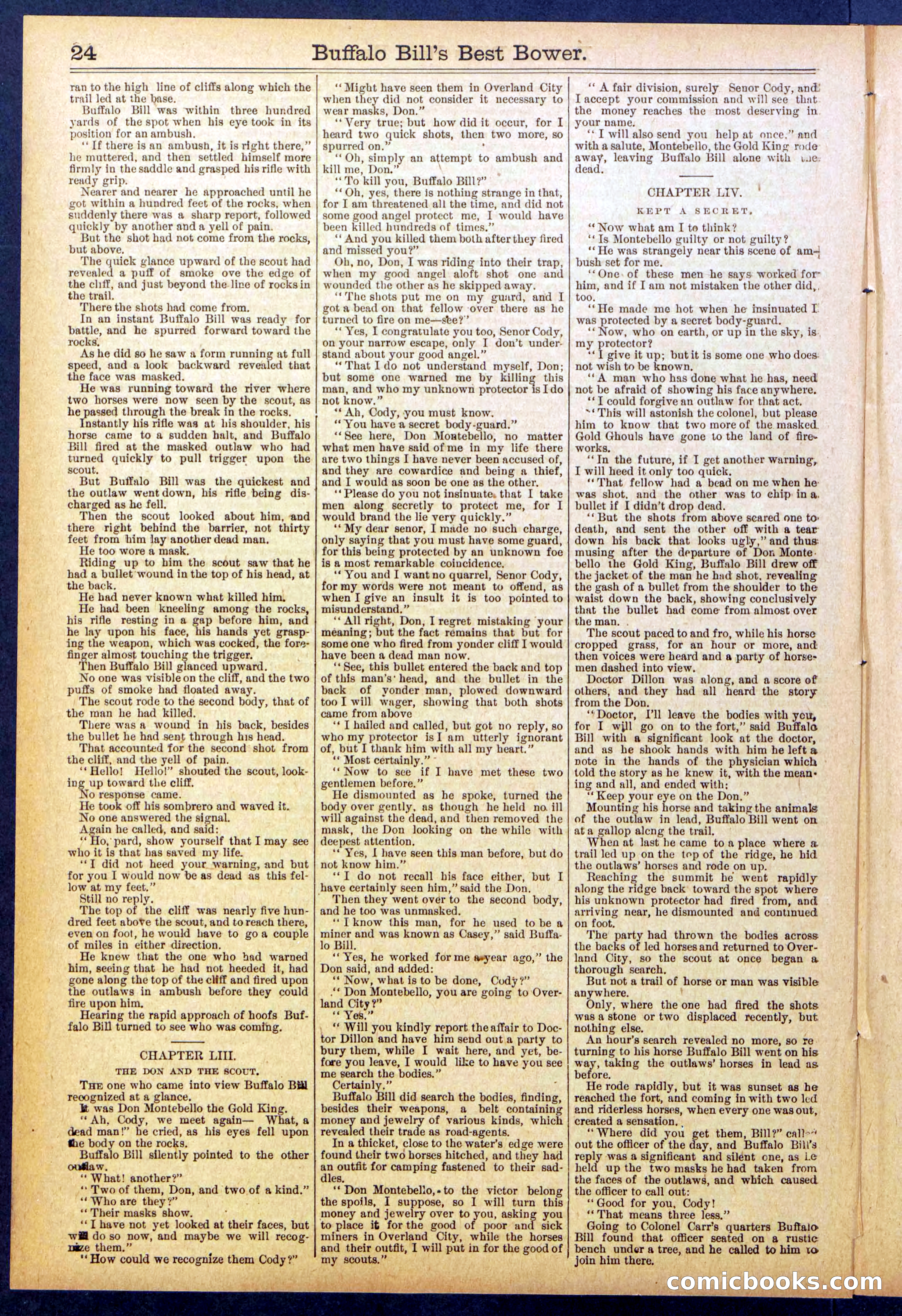 Beadle's Dime Library No. 822 — page 24 of 32