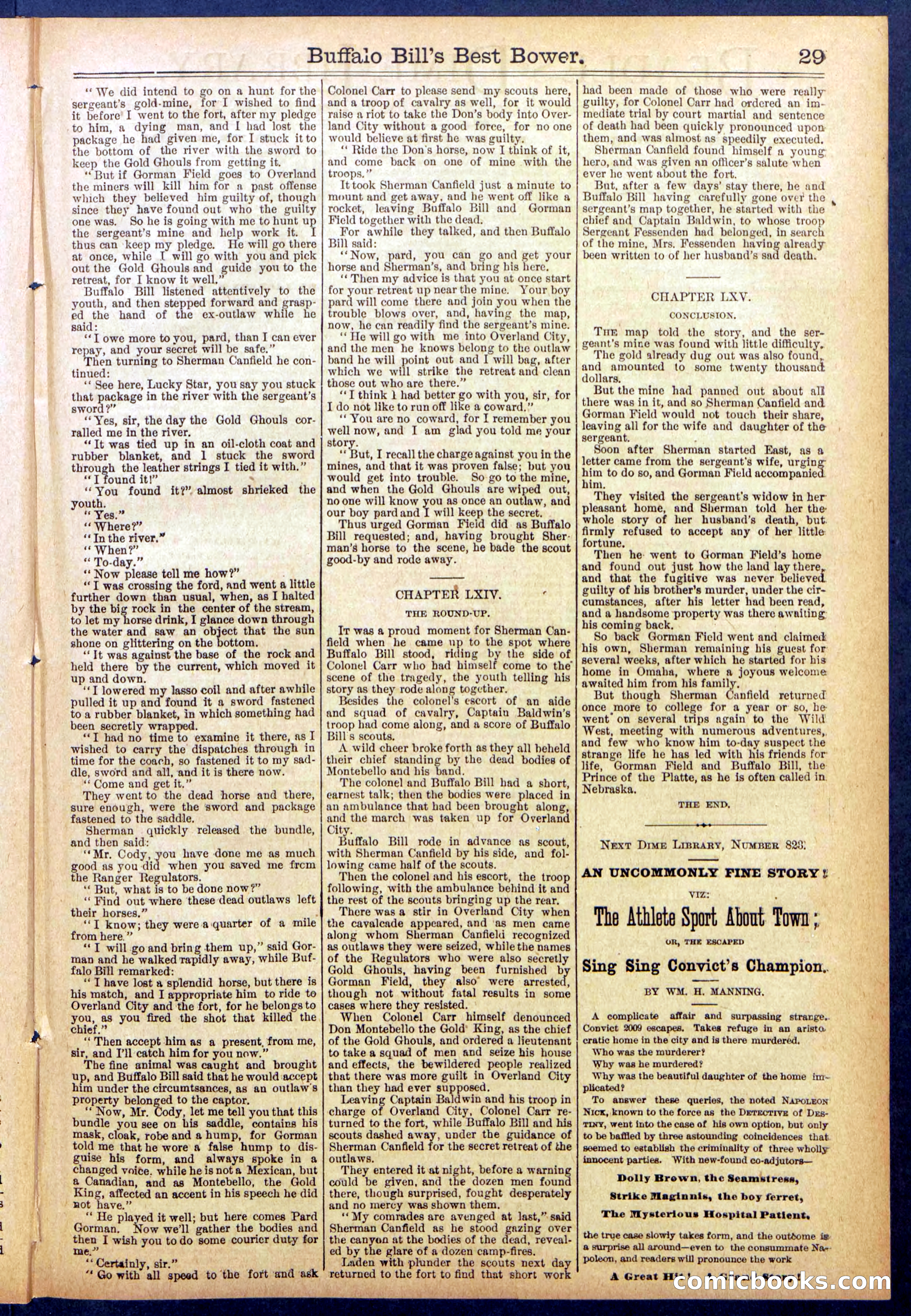 Beadle's Dime Library No. 822 — page 29 of 32