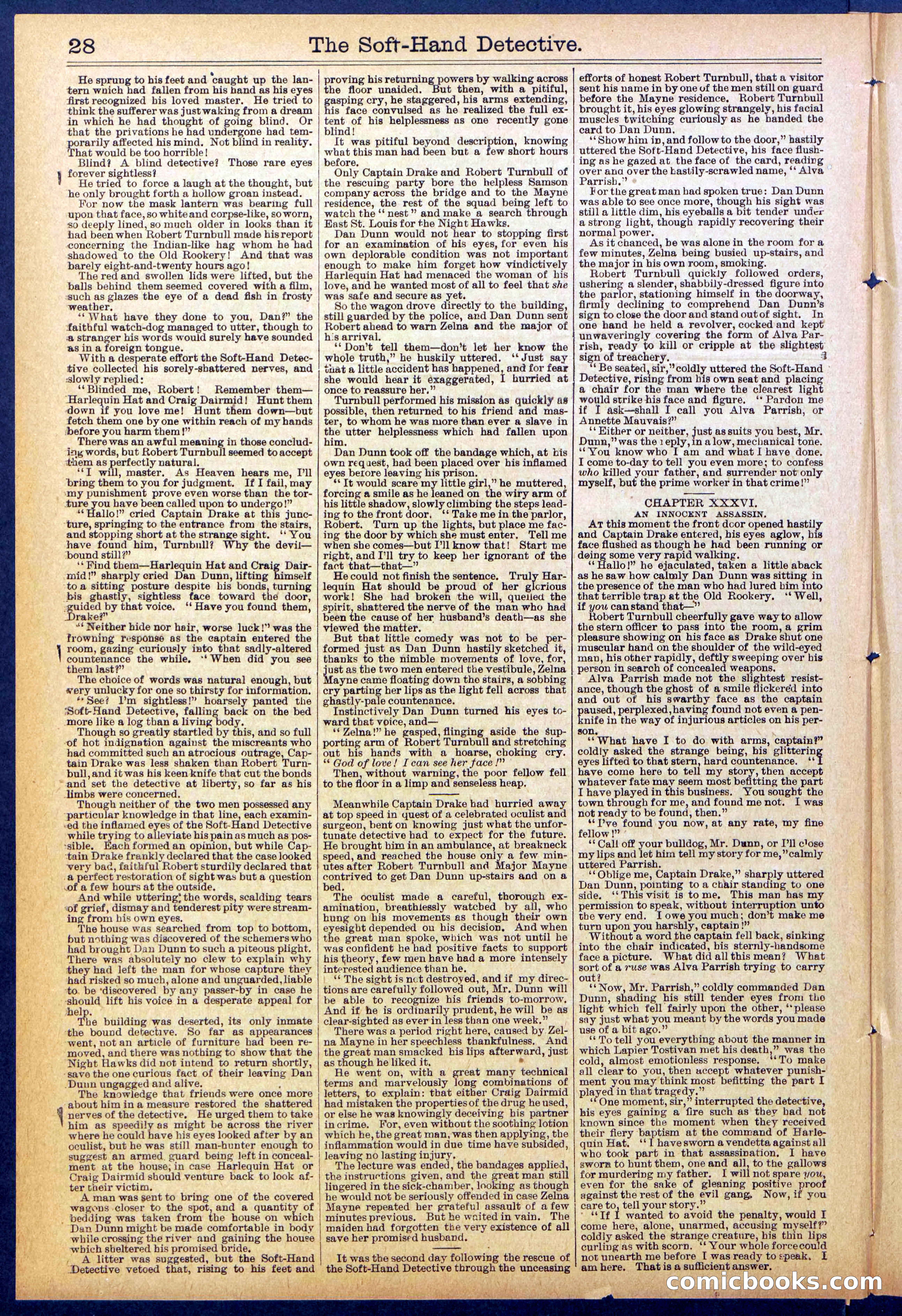 Beadle's Dime Library No. 824 — page 28 of 32