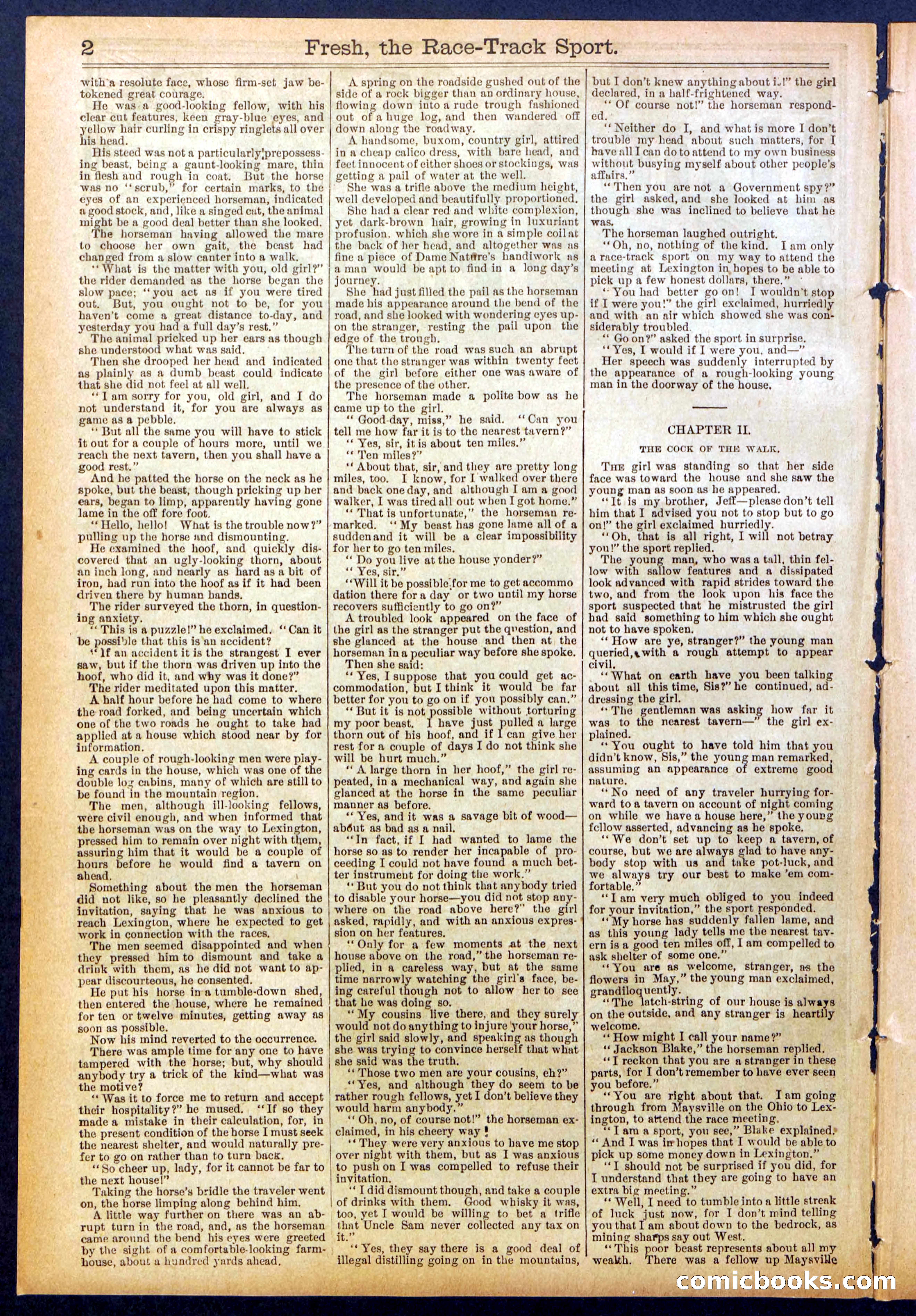Beadle's New York Dime Library, No. 825 — page 2 of 32