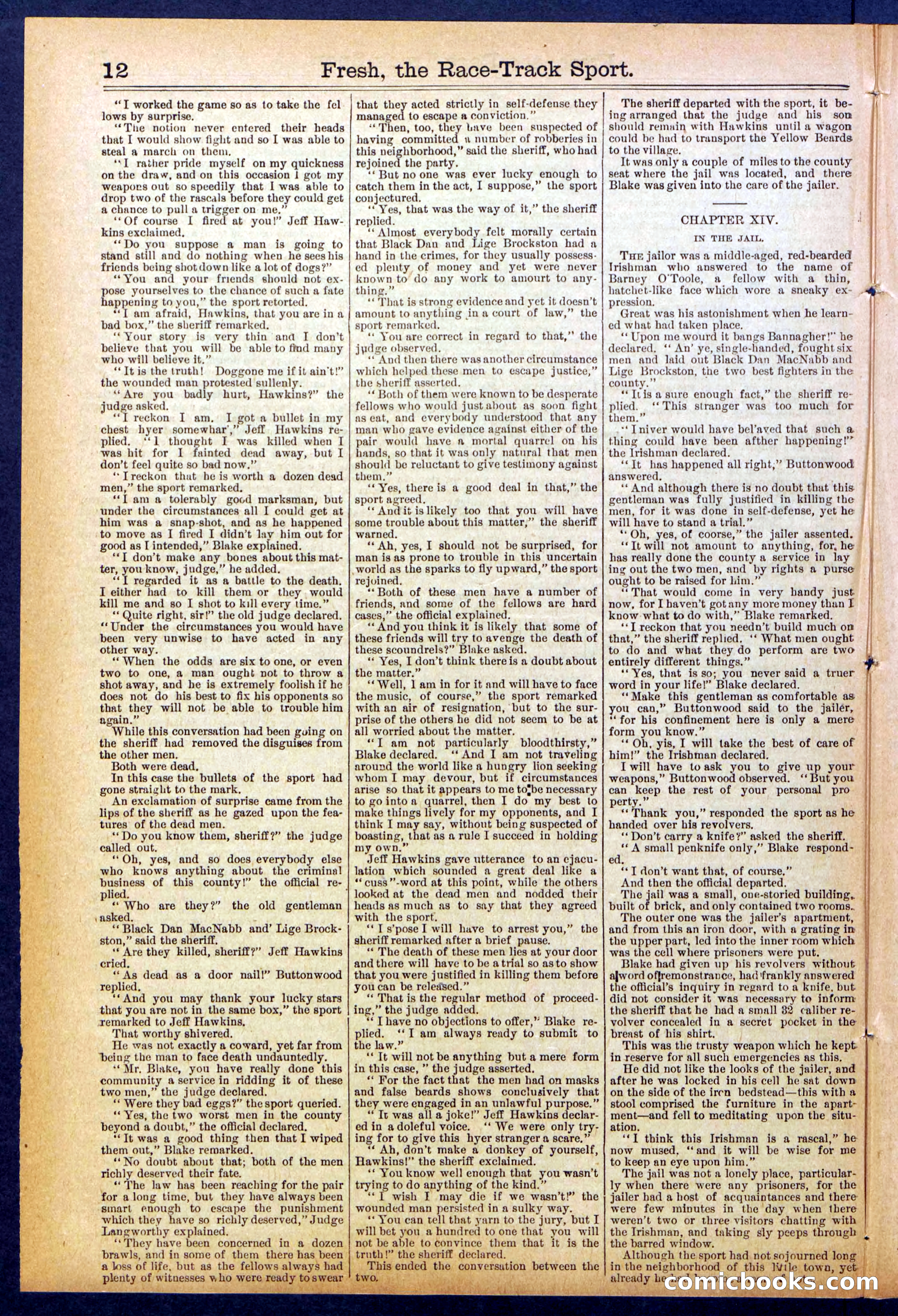 Beadle's New York Dime Library, No. 825 — page 12 of 32