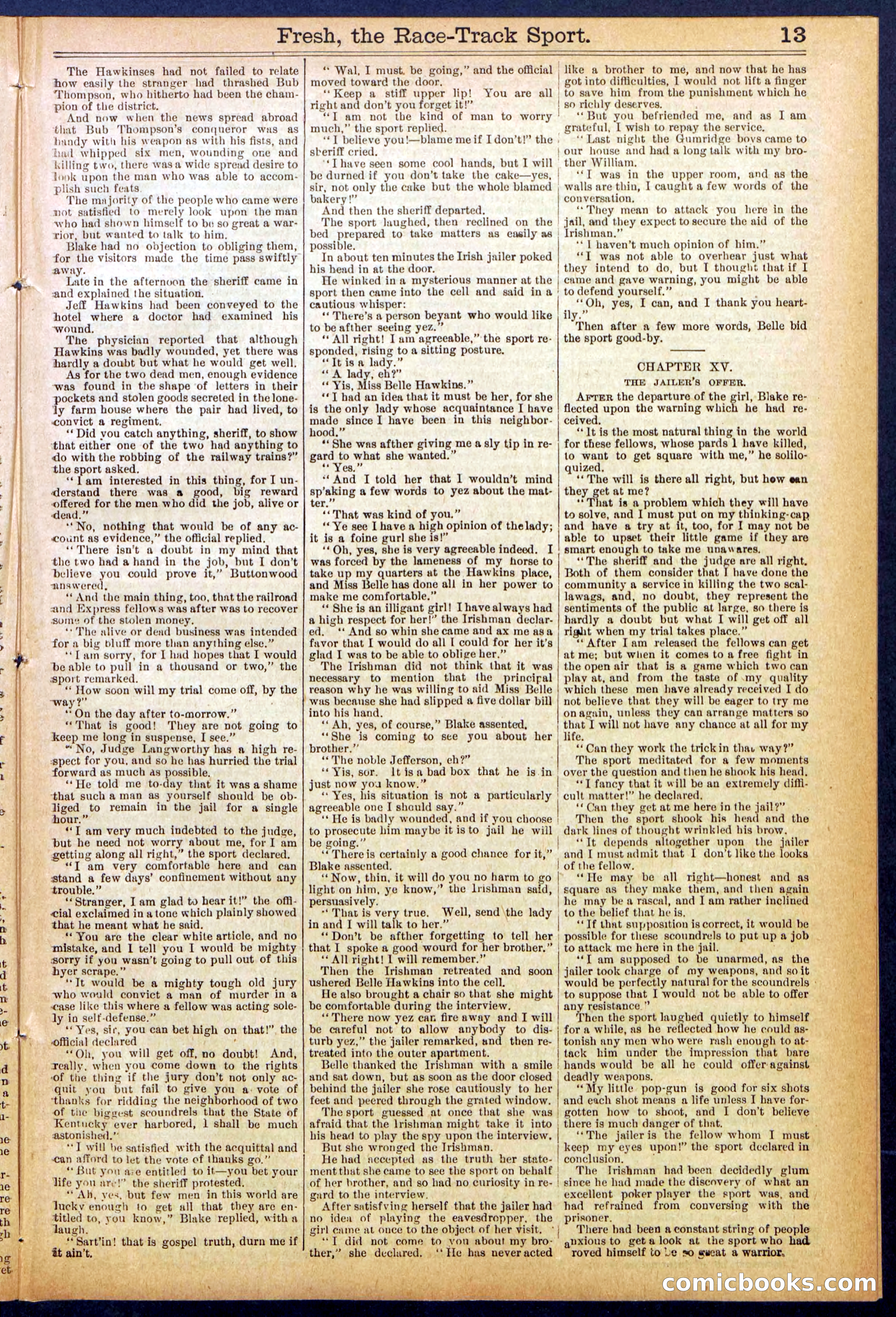 Beadle's New York Dime Library, No. 825 — page 13 of 32
