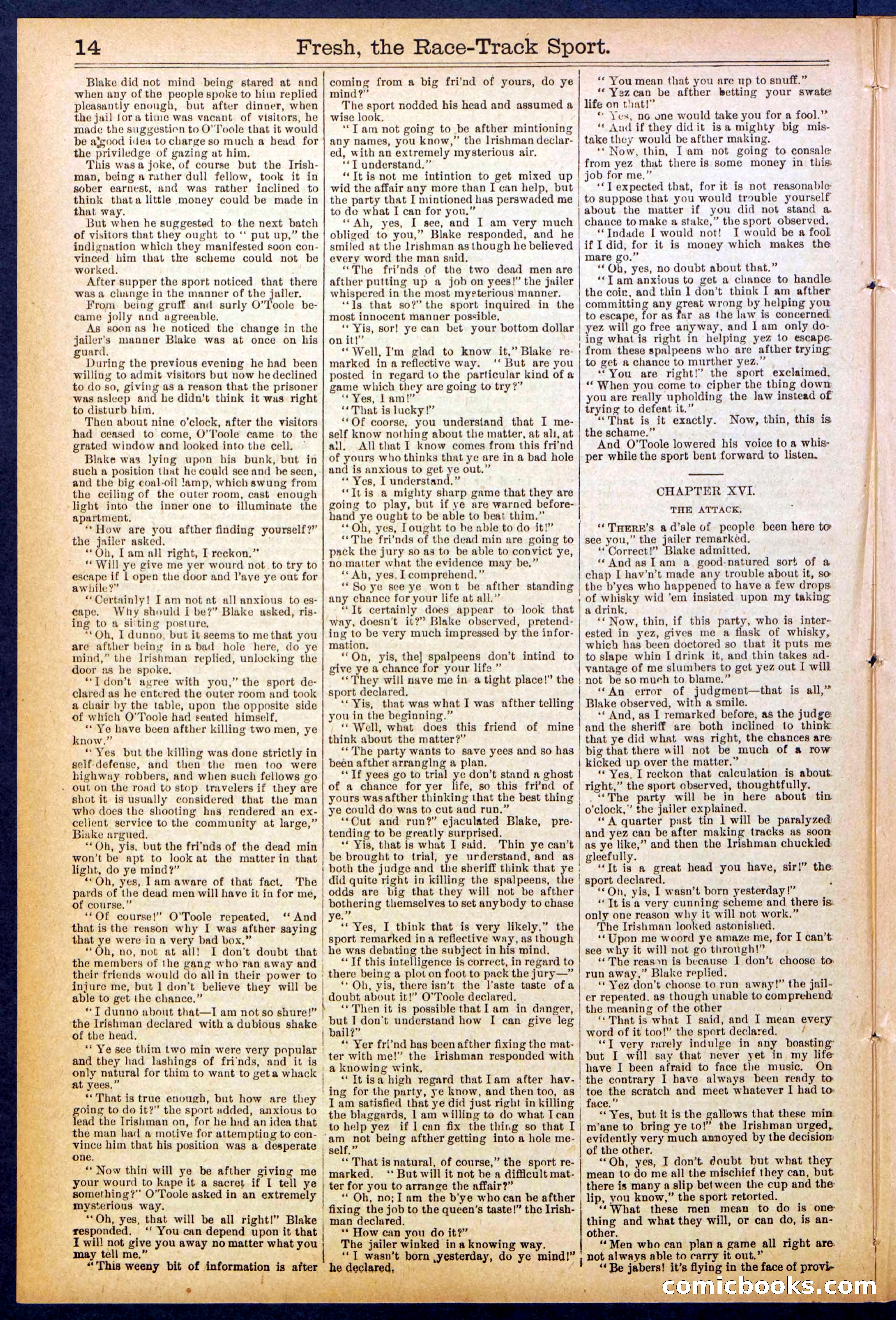 Beadle's New York Dime Library, No. 825 — page 14 of 32