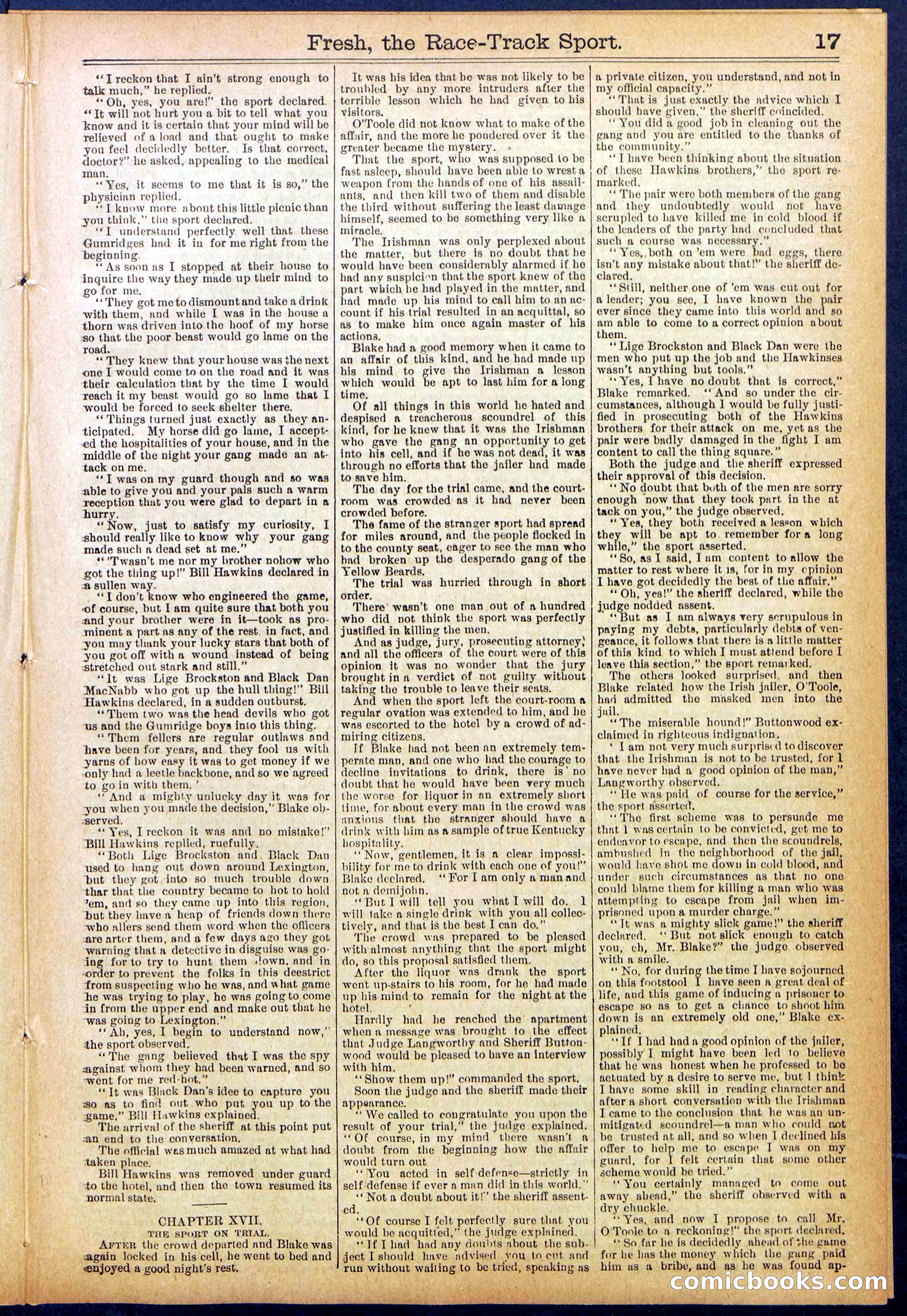 Beadle's New York Dime Library, No. 825 — page 17 of 32