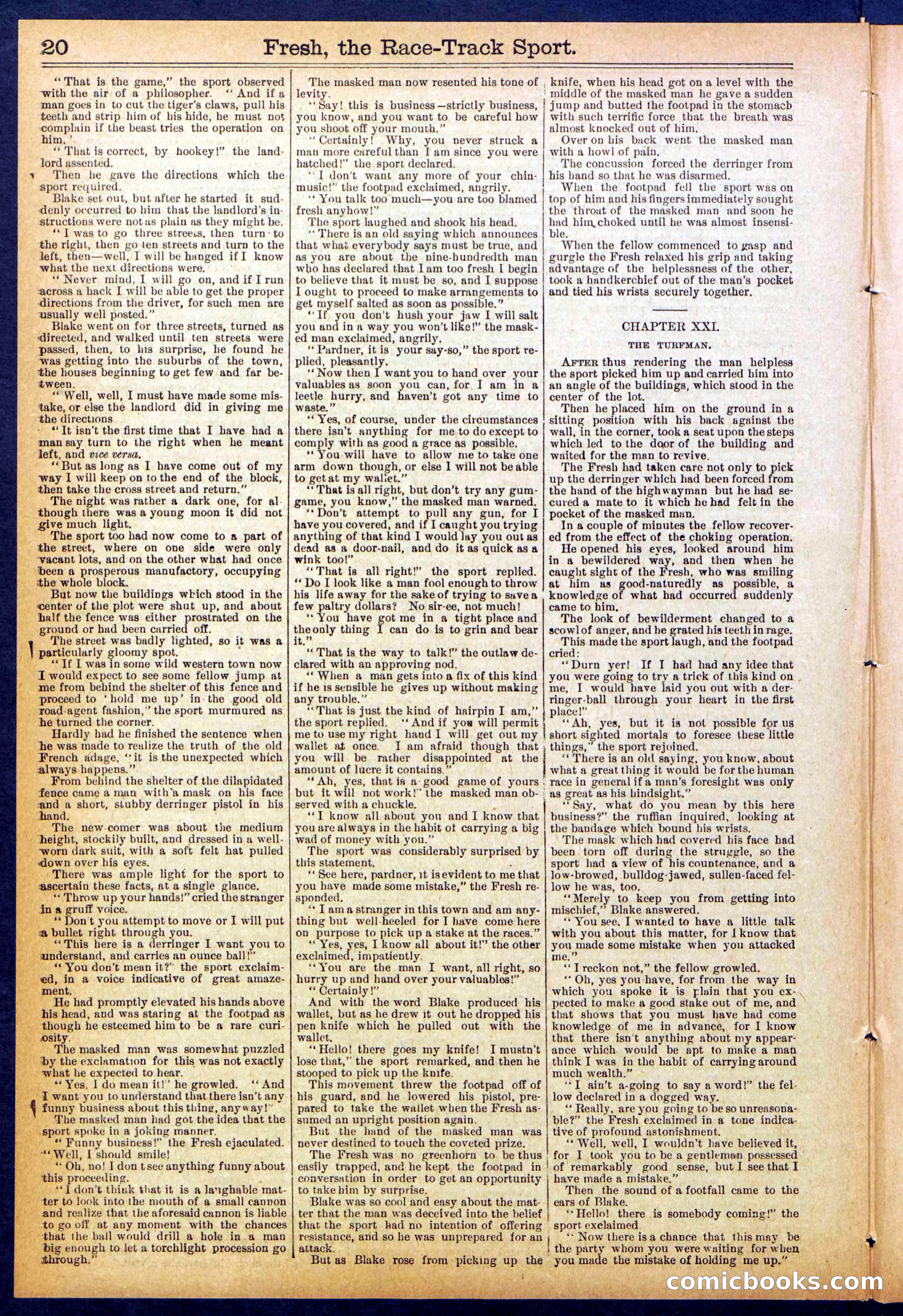 Beadle's New York Dime Library, No. 825 — page 20 of 32