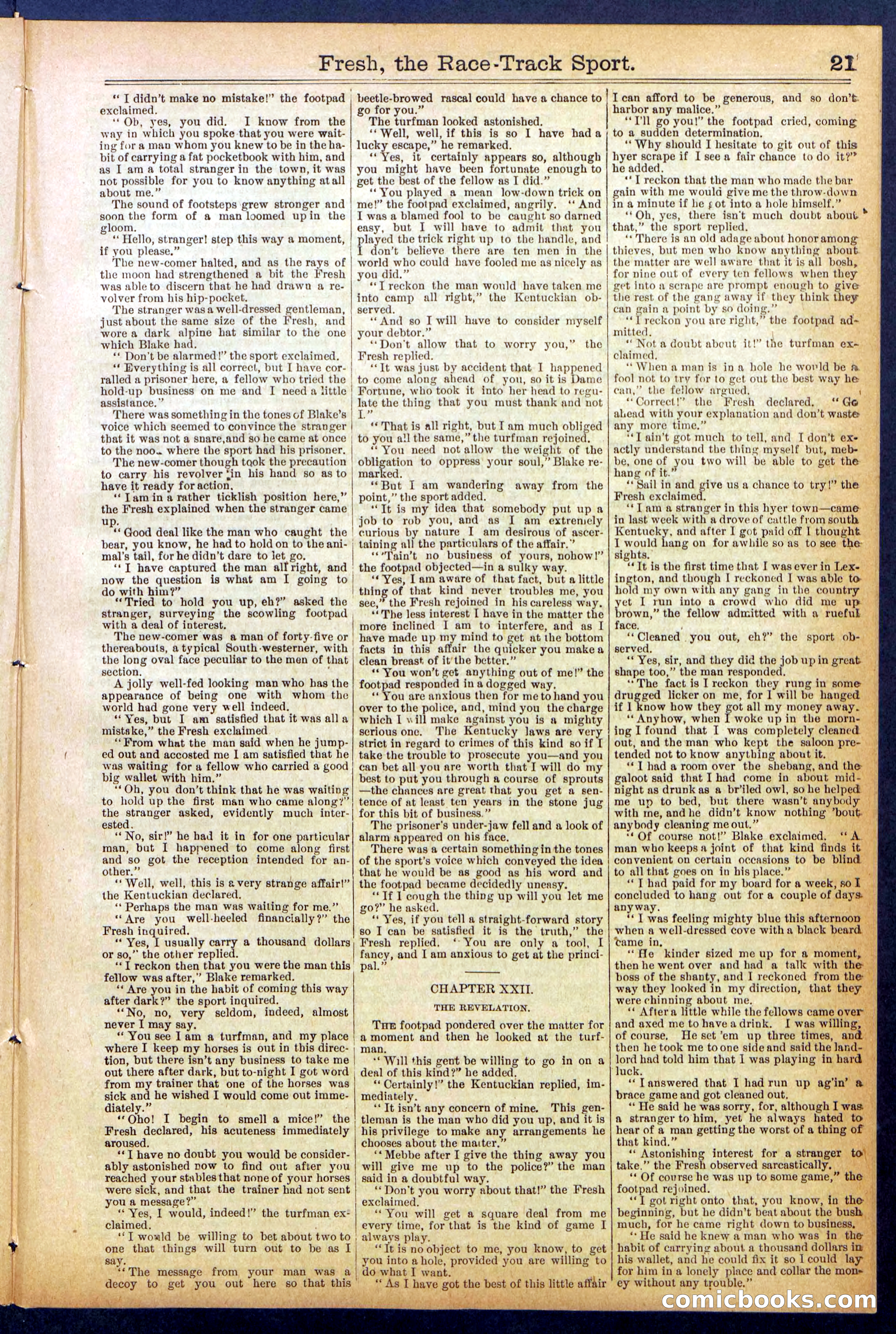 Beadle's New York Dime Library, No. 825 — page 21 of 32