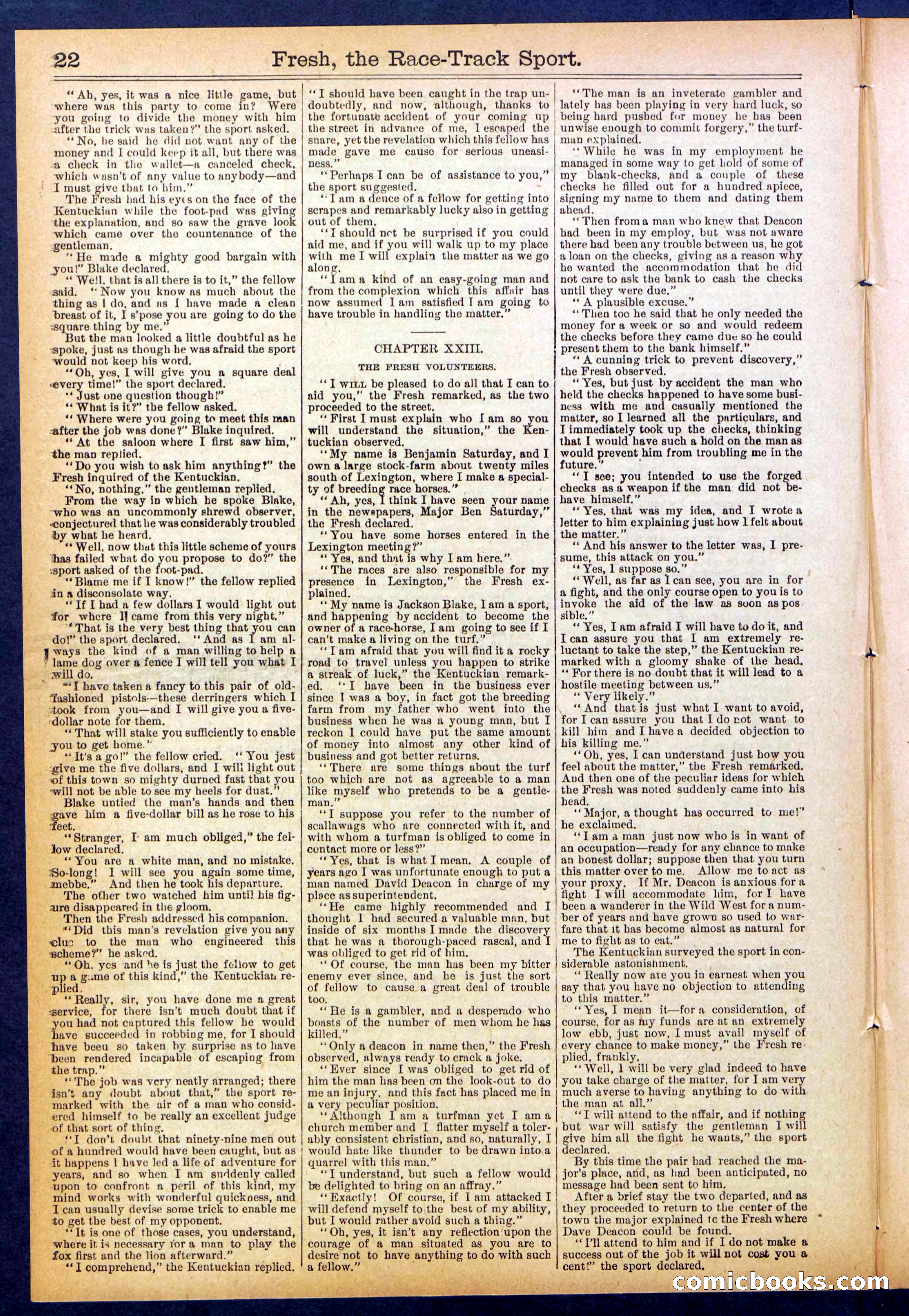 Beadle's New York Dime Library, No. 825 — page 22 of 32