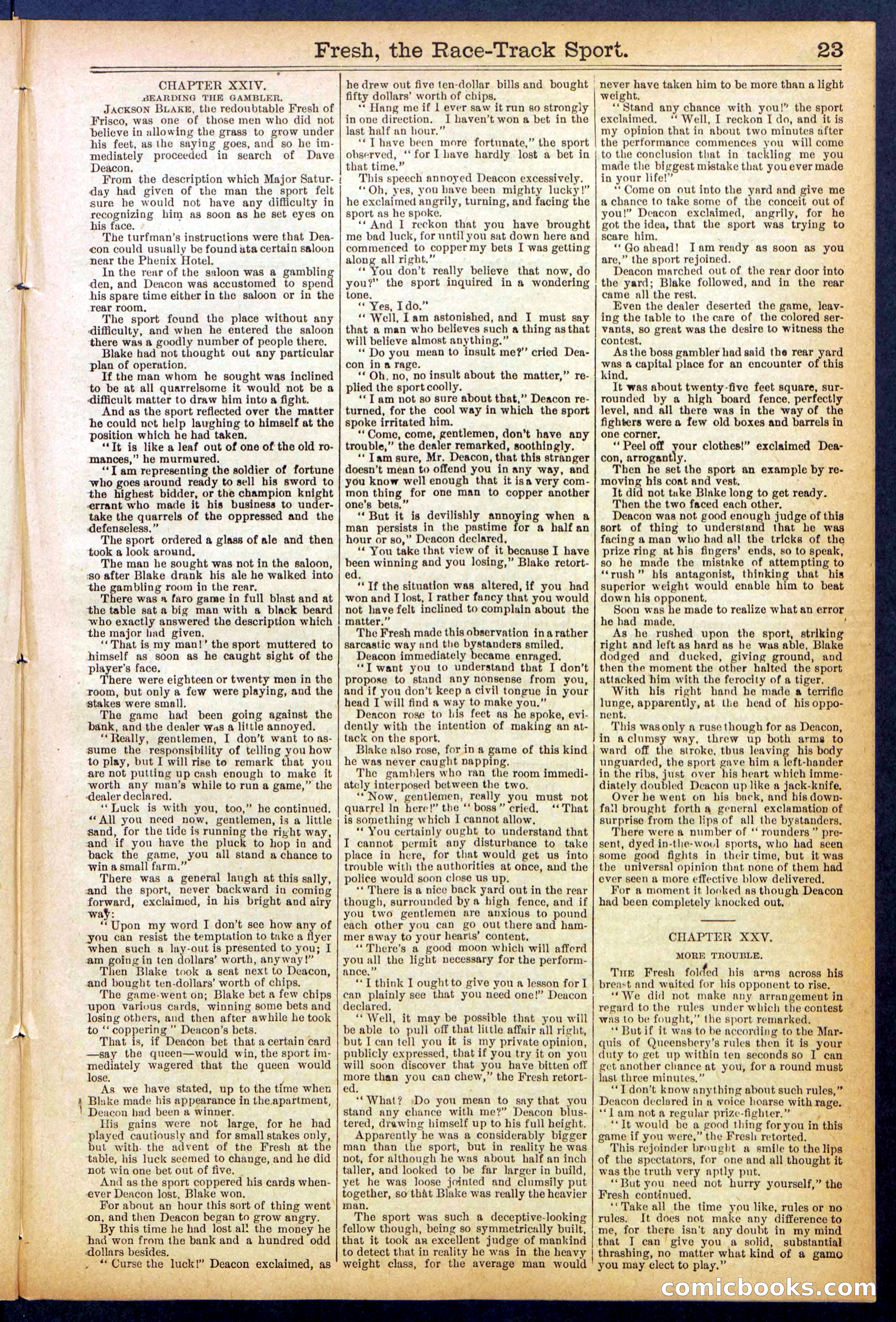 Beadle's New York Dime Library, No. 825 — page 23 of 32