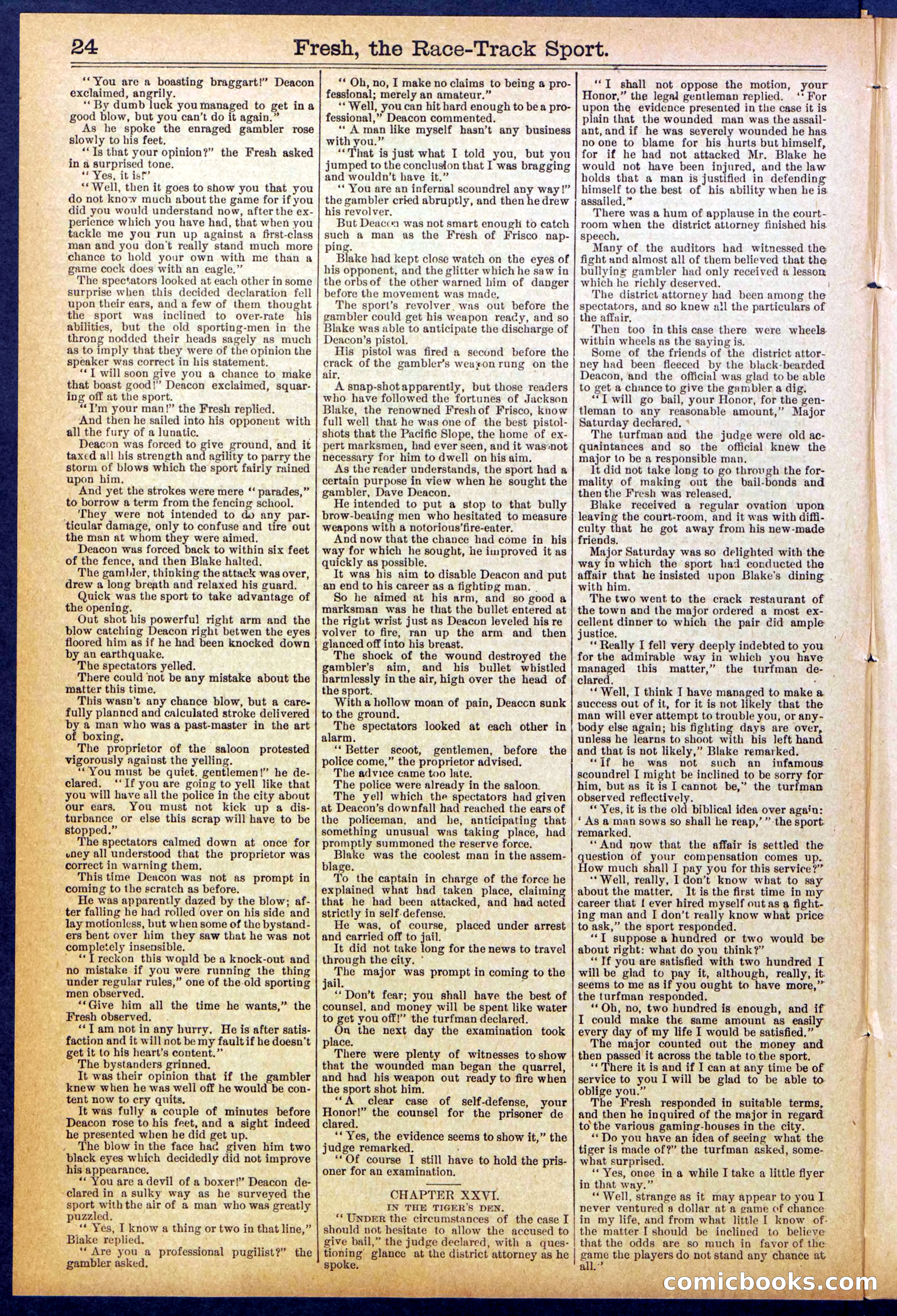 Beadle's New York Dime Library, No. 825 — page 24 of 32
