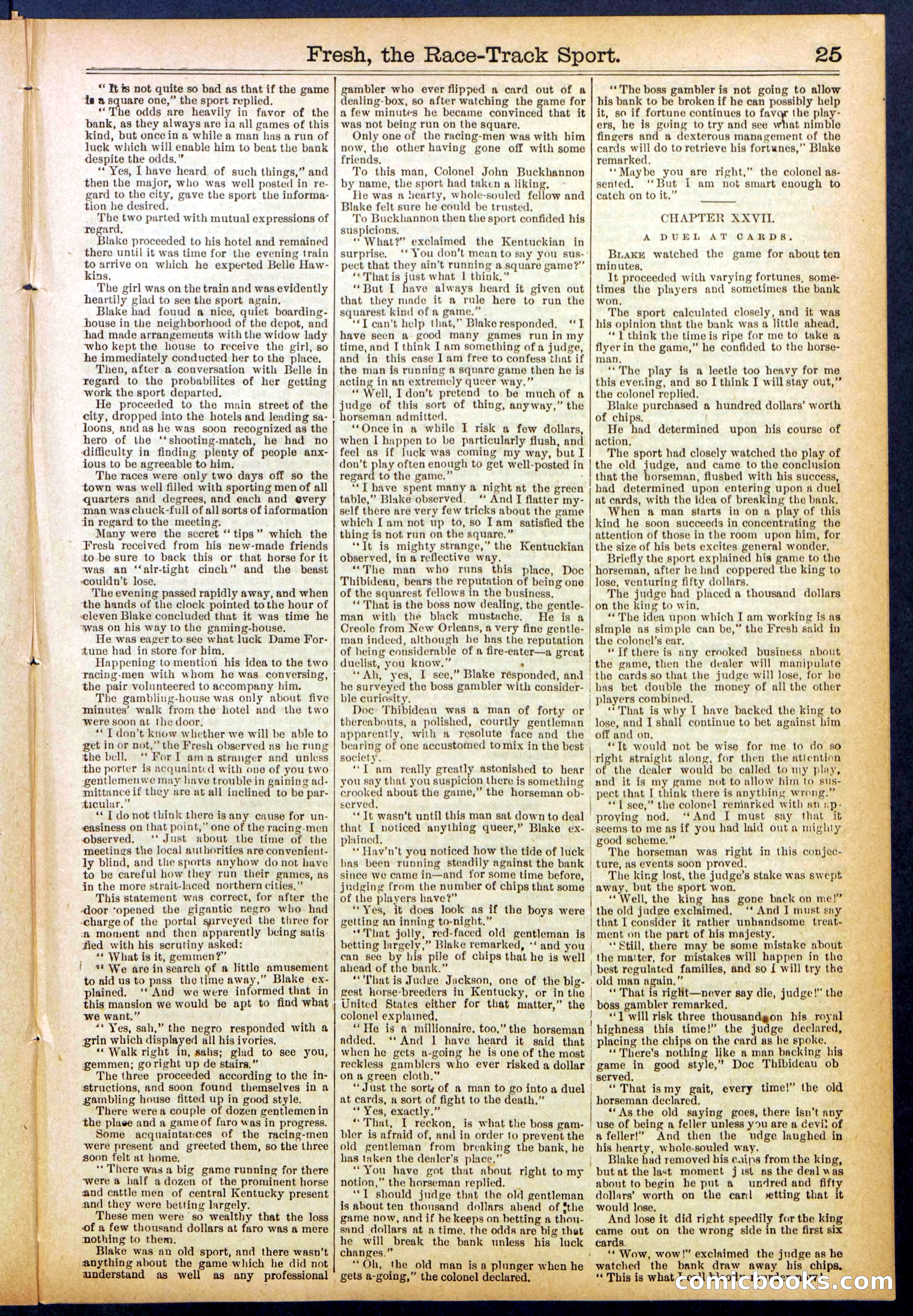 Beadle's New York Dime Library, No. 825 — page 25 of 32