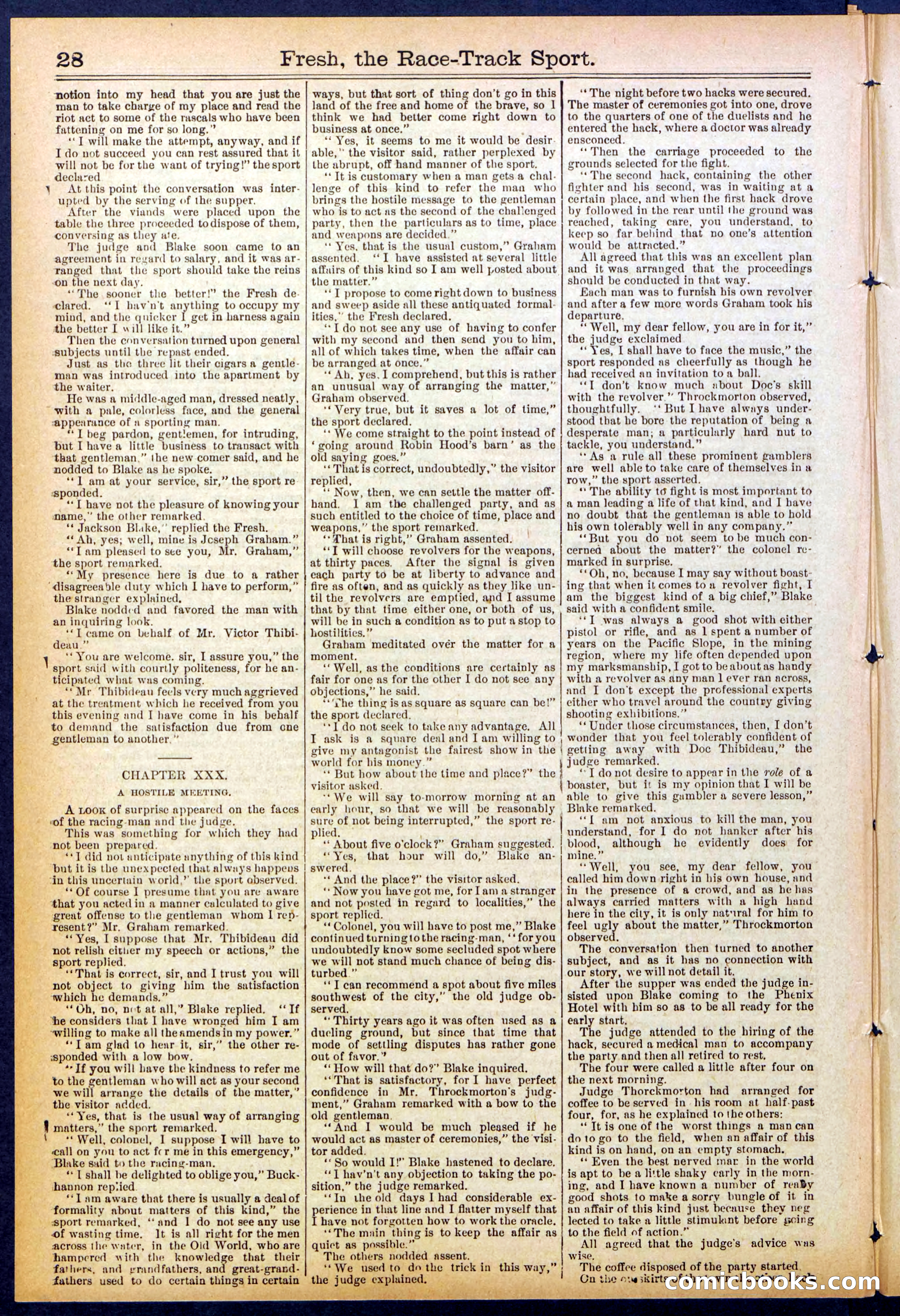 Beadle's New York Dime Library, No. 825 — page 28 of 32