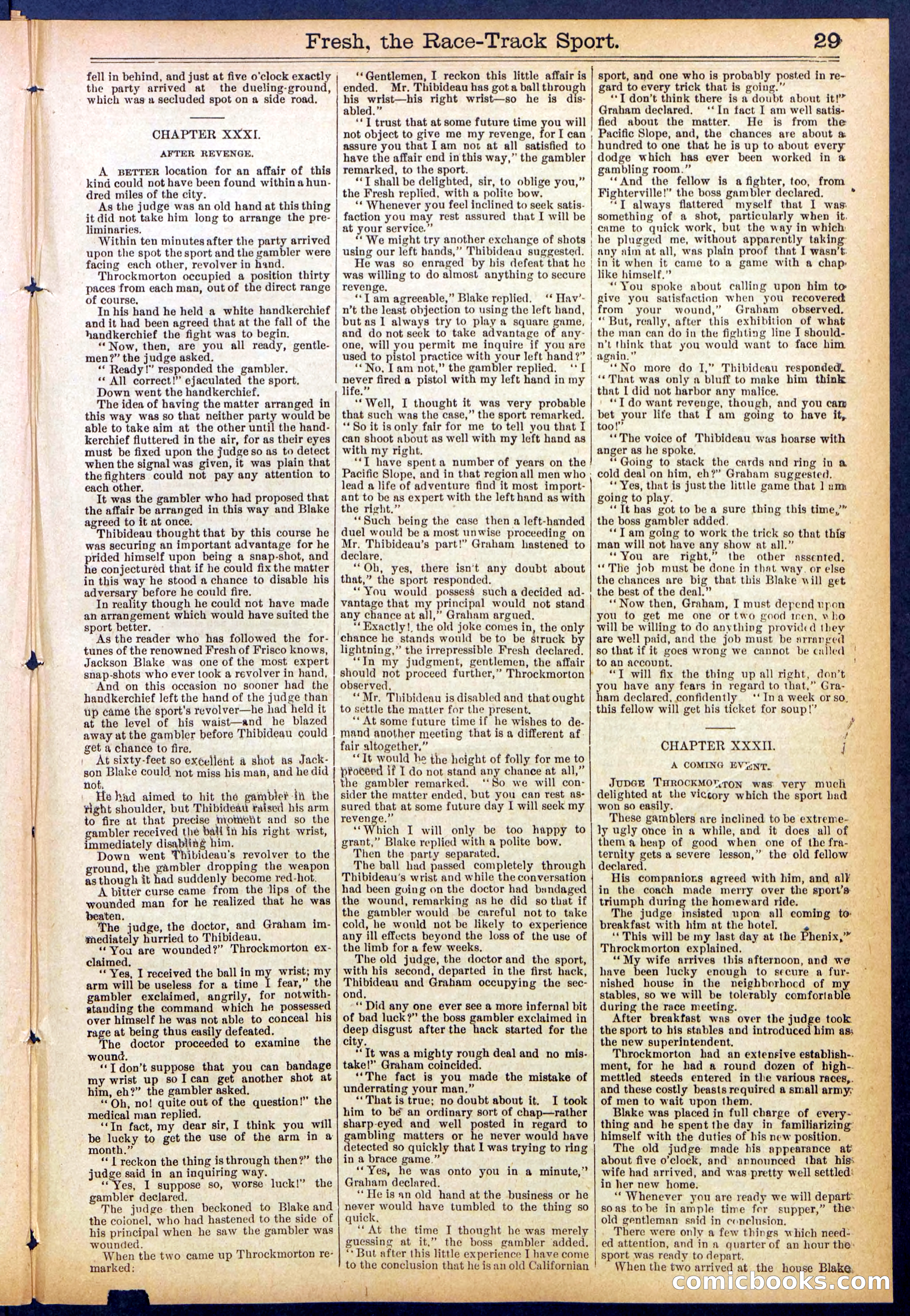 Beadle's New York Dime Library, No. 825 — page 29 of 32