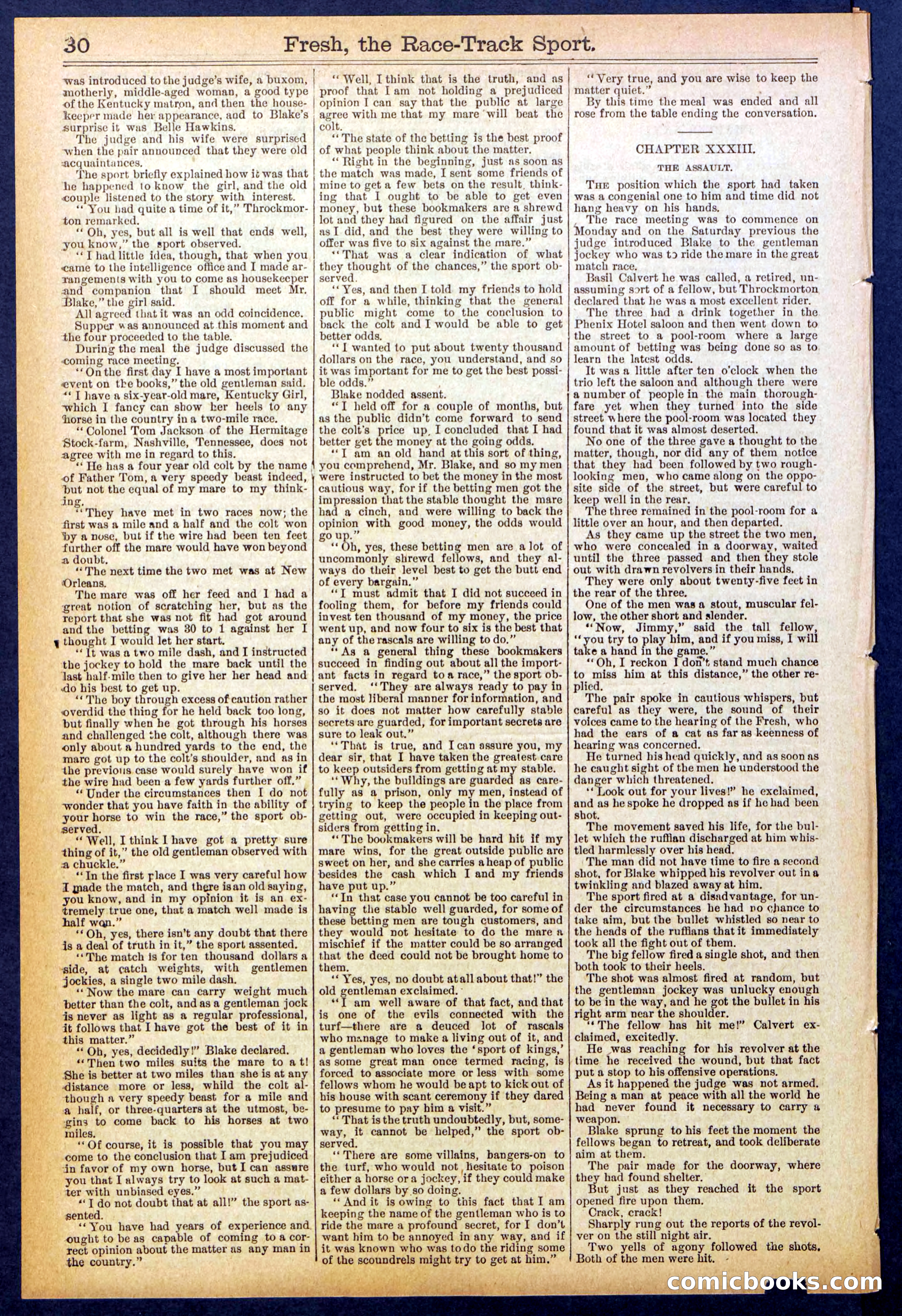 Beadle's New York Dime Library, No. 825 — page 30 of 32