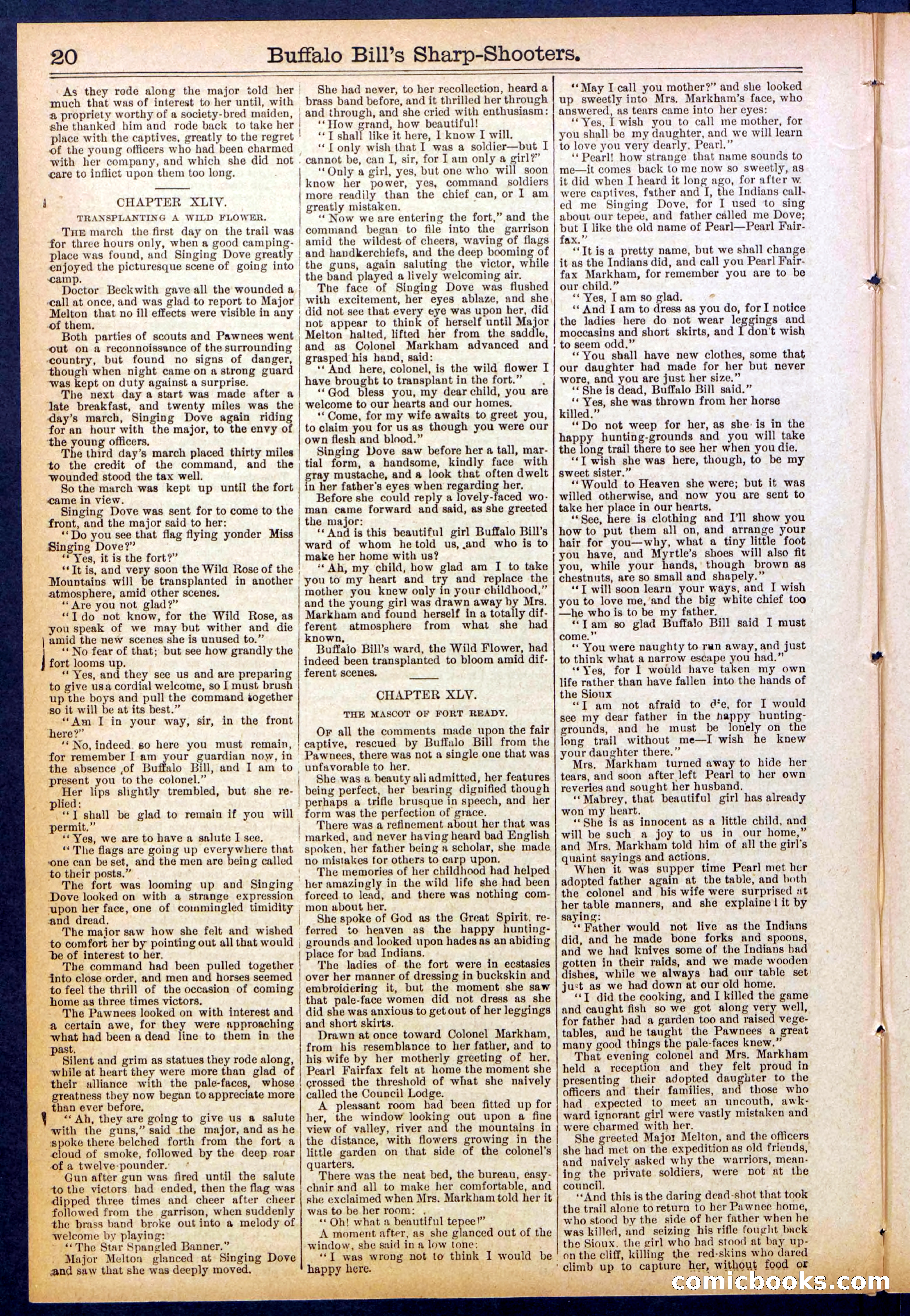 Beadle's Dime Library No. 826 — page 20 of 32