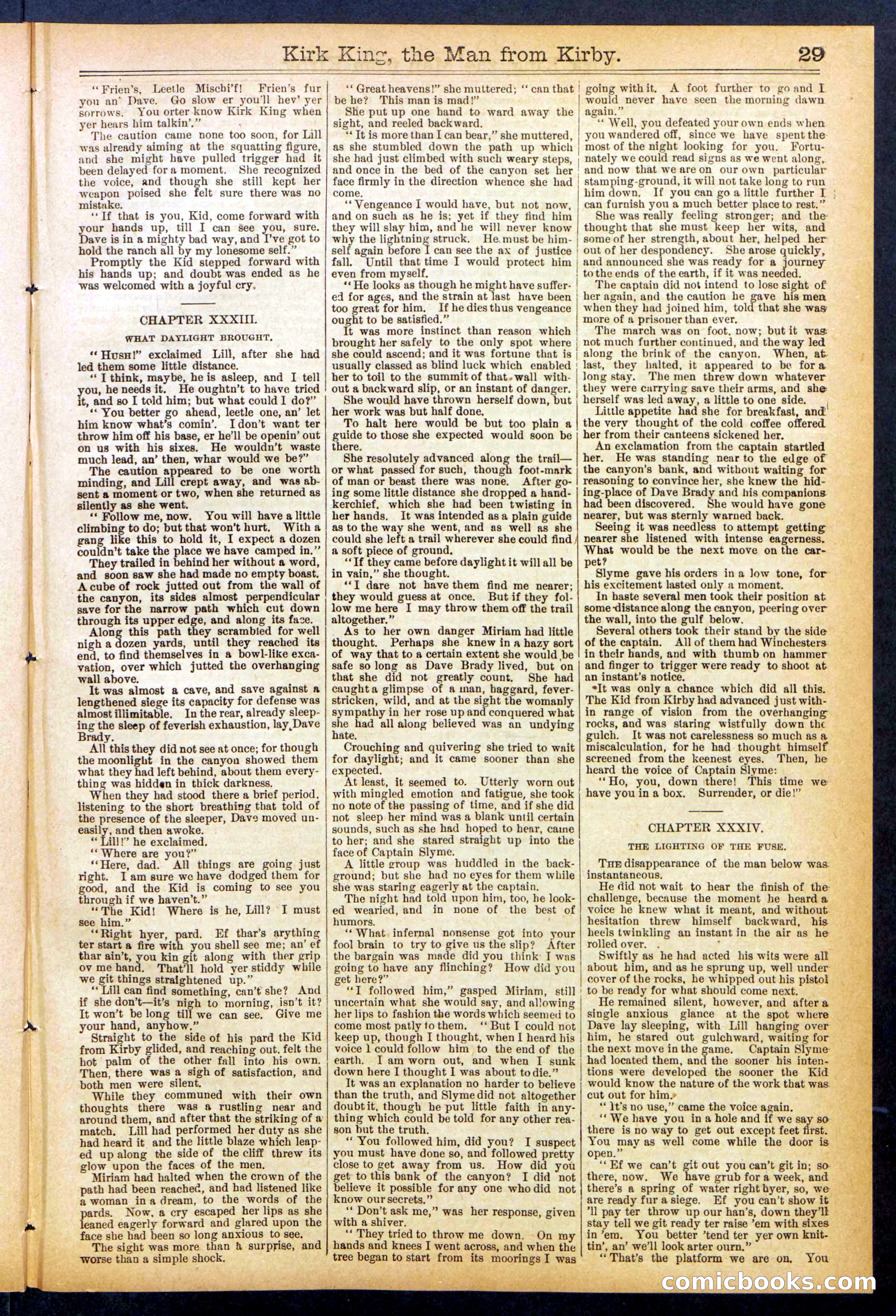 Beadle's Dime Library No. 828 — page 29 of 32