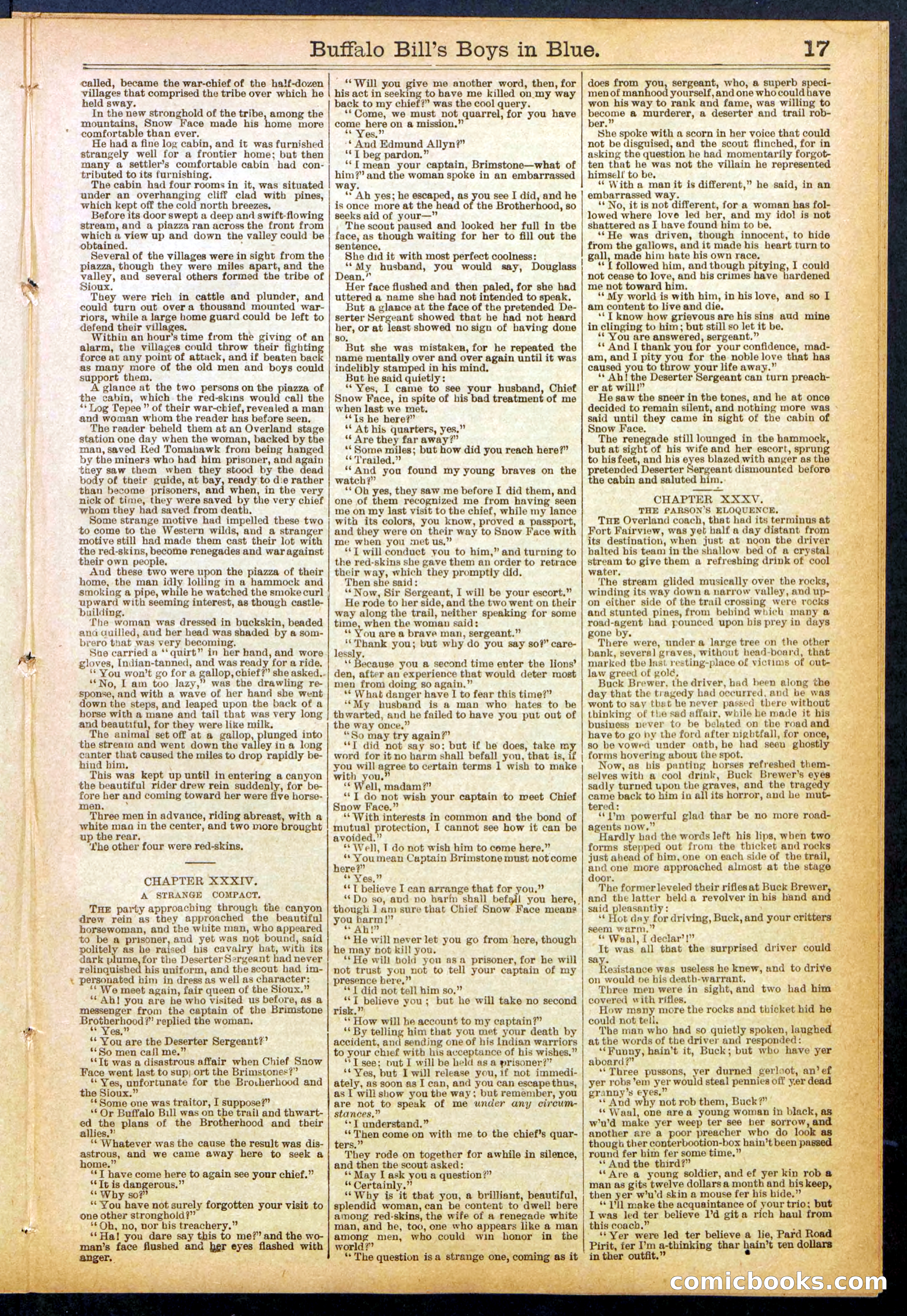 Beadle's Dime Library No. 830 — page 17 of 32