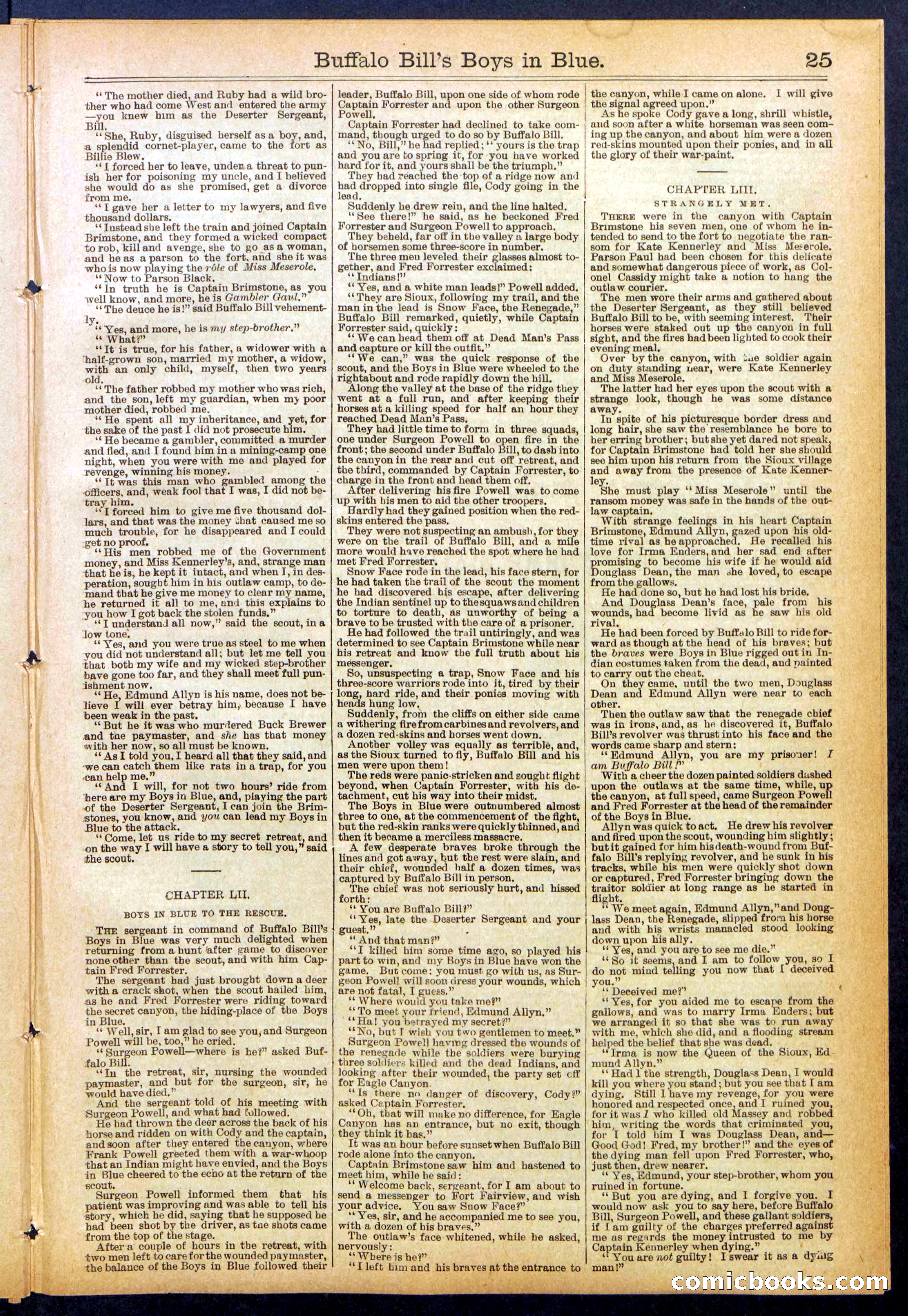 Beadle's Dime Library No. 830 — page 25 of 32