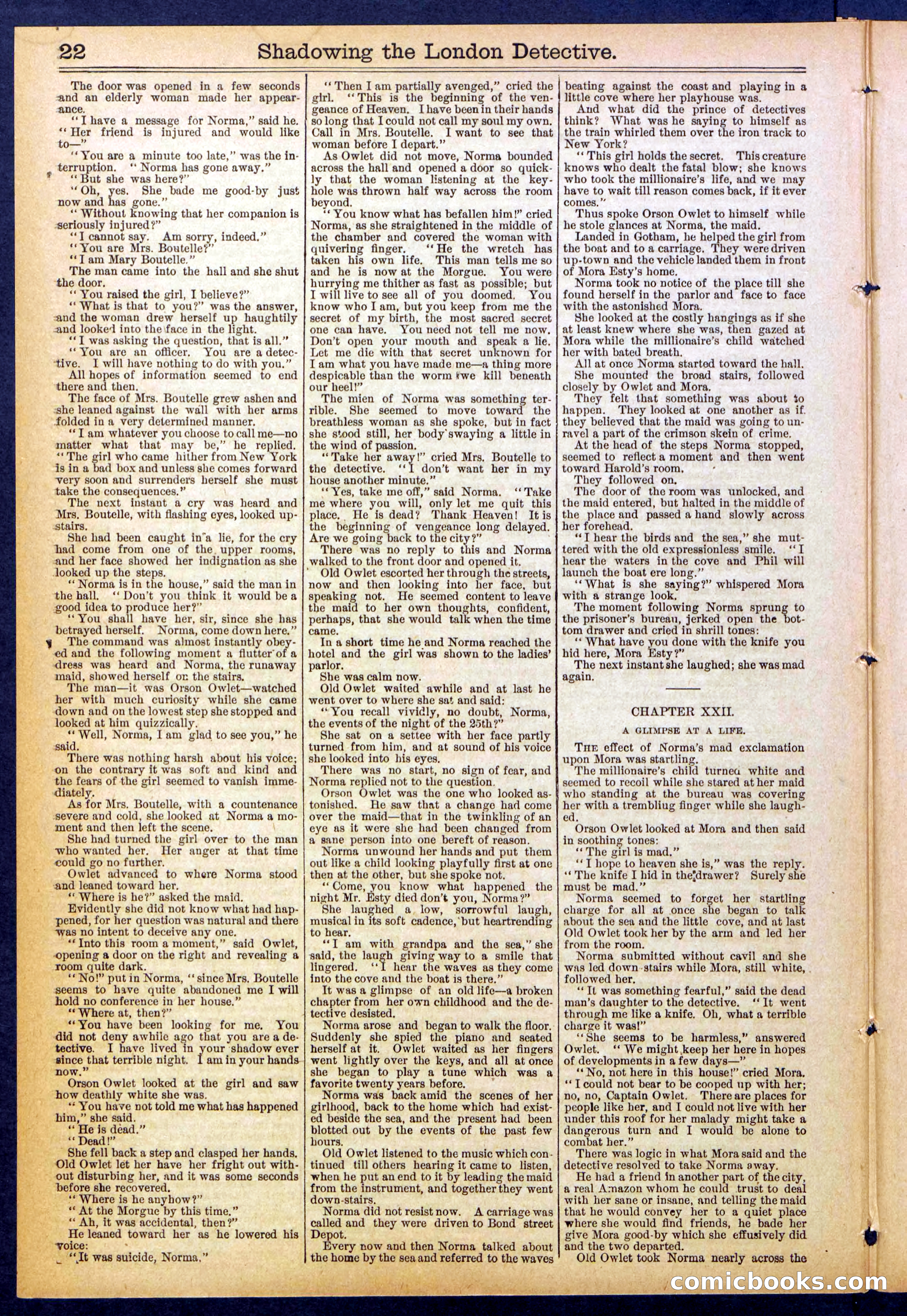 Beadle's Dime Library No. 831 — page 22 of 32