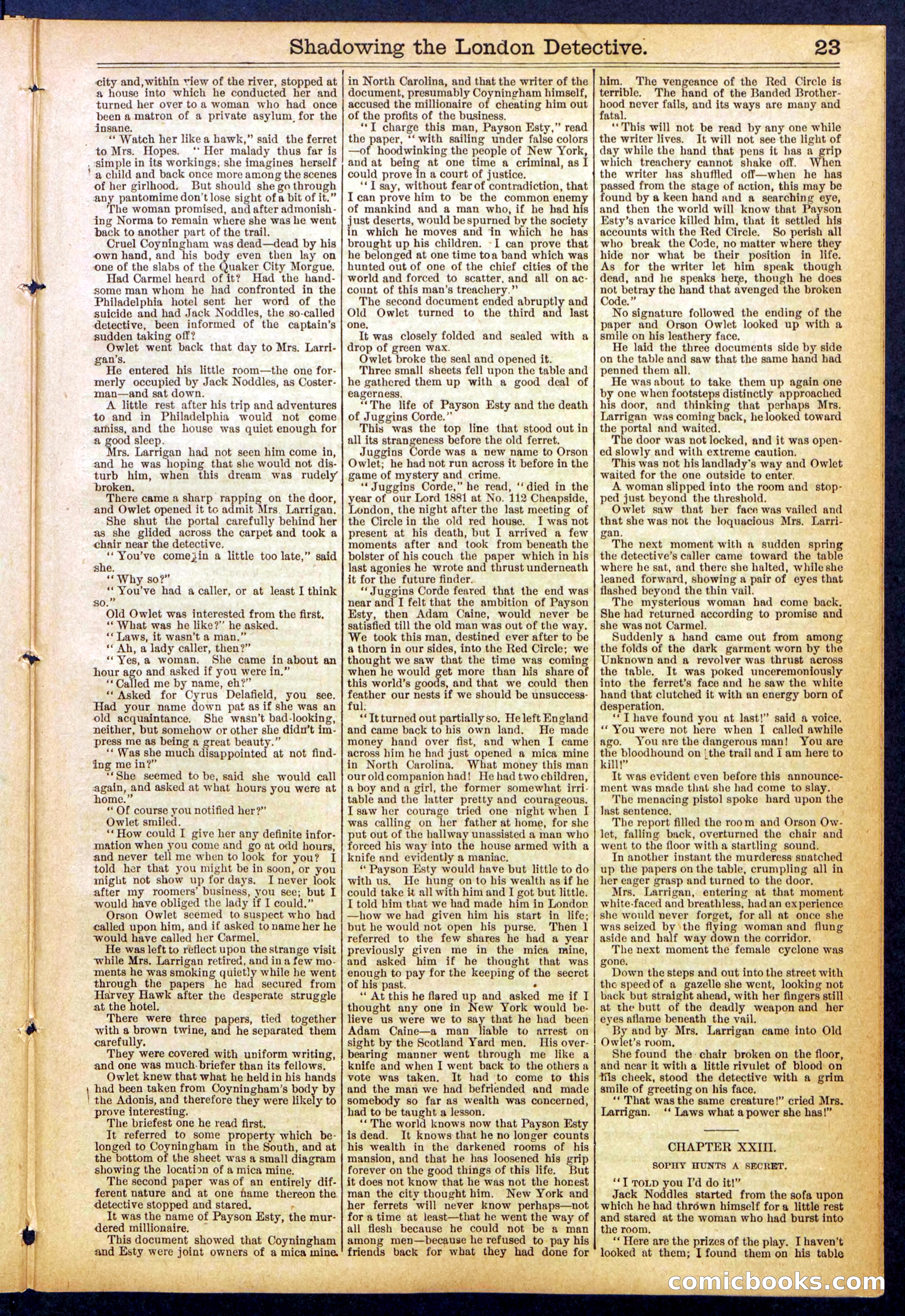Beadle's Dime Library No. 831 — page 23 of 32