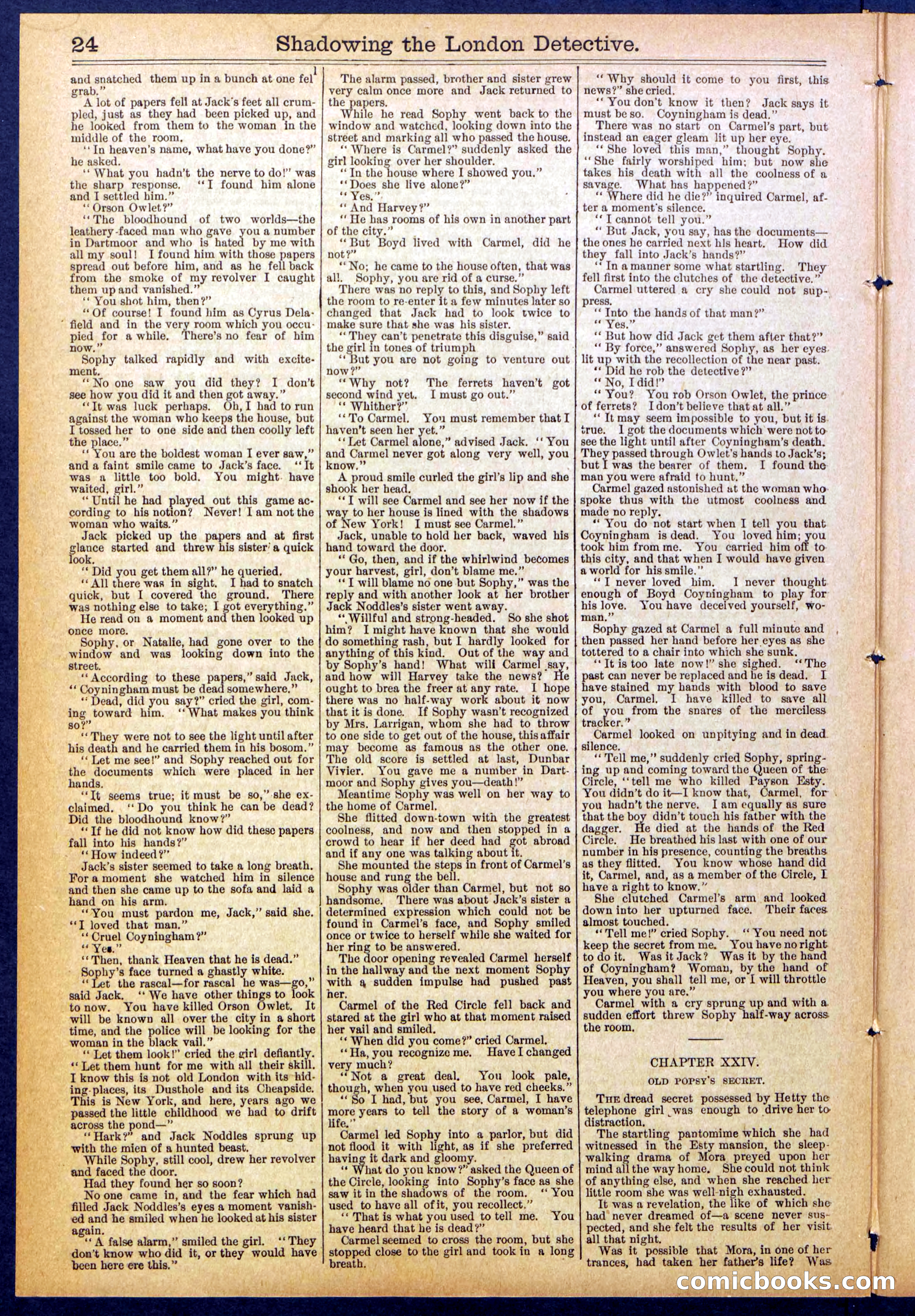 Beadle's Dime Library No. 831 — page 24 of 32