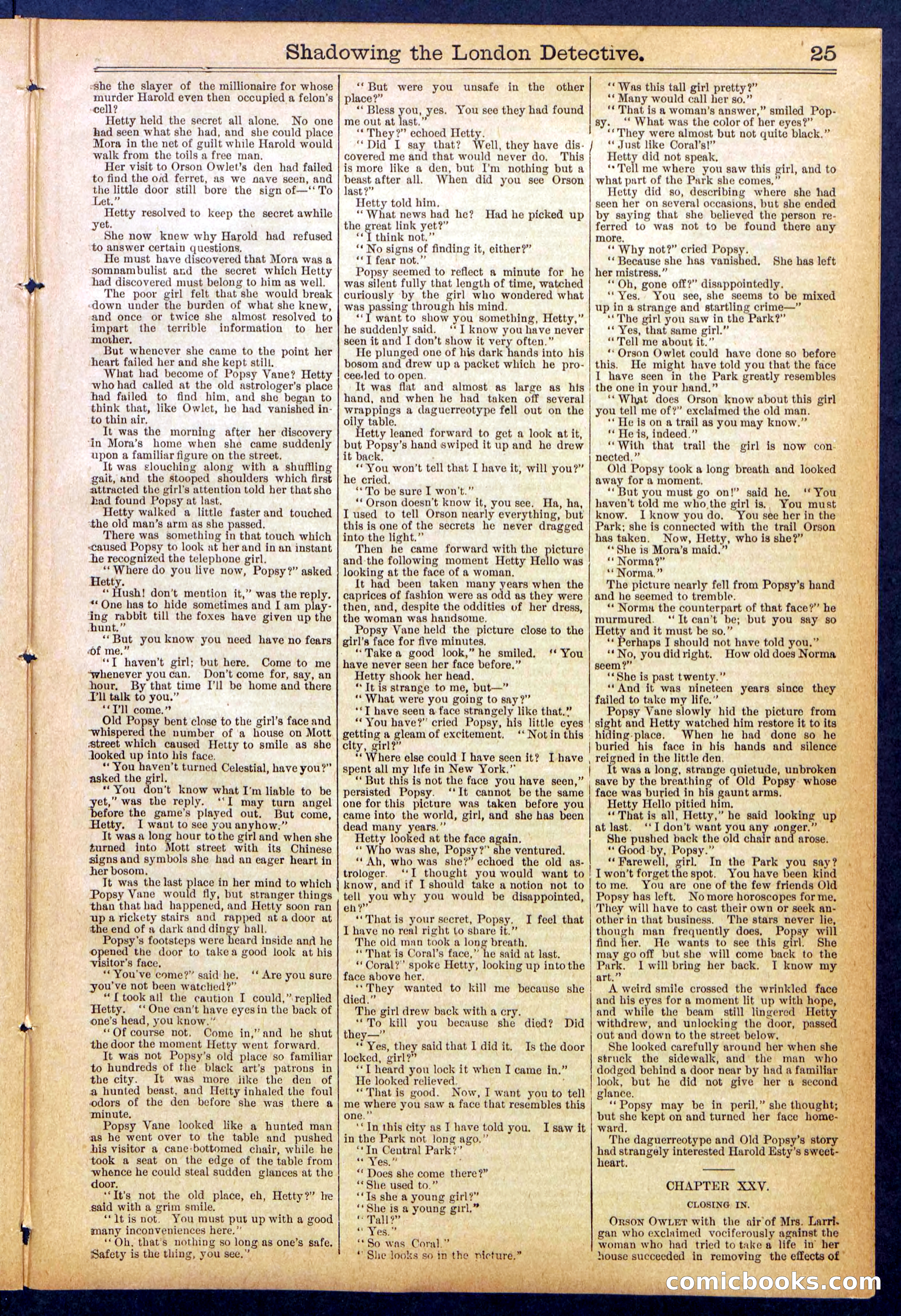 Beadle's Dime Library No. 831 — page 25 of 32