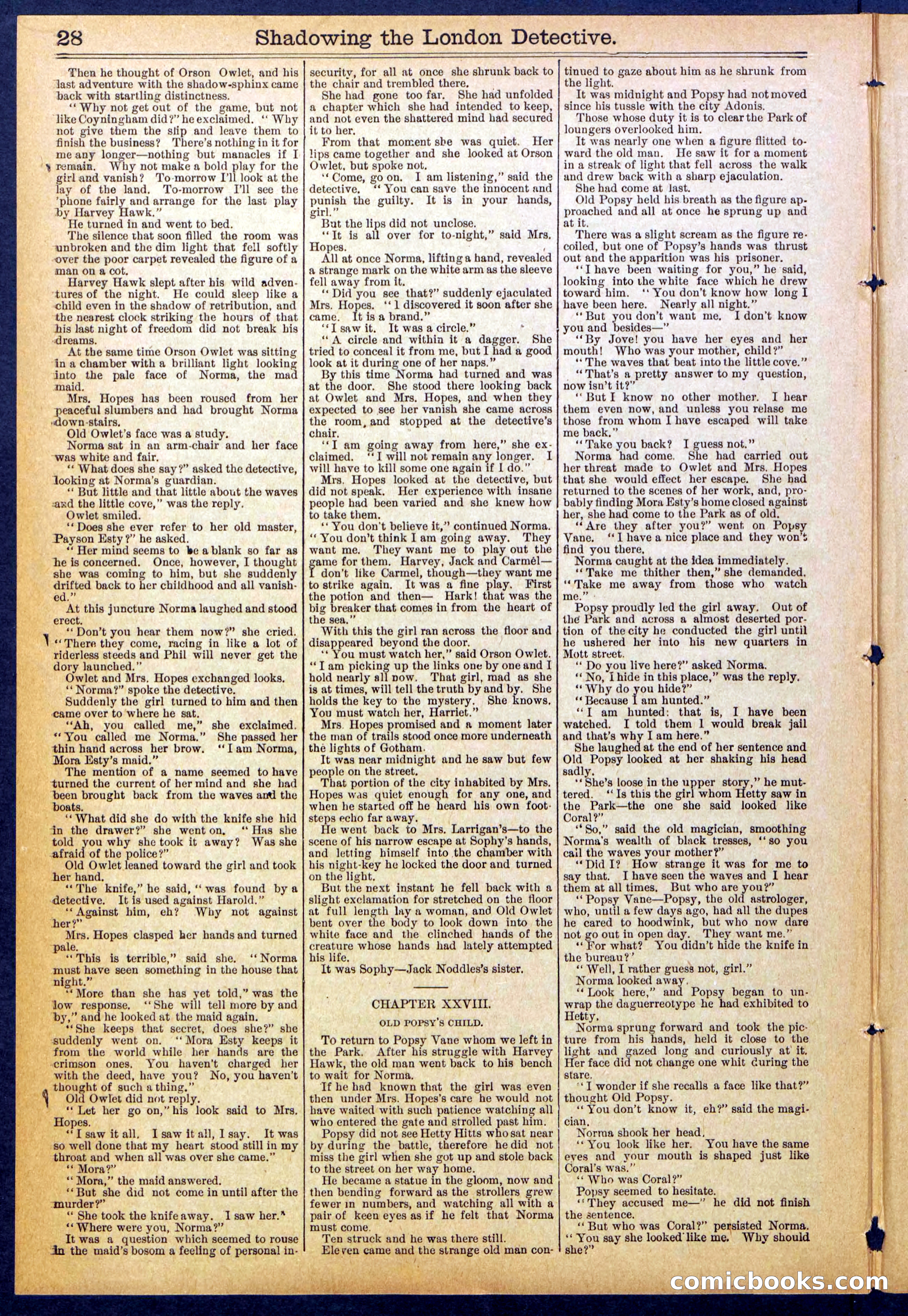 Beadle's Dime Library No. 831 — page 28 of 32