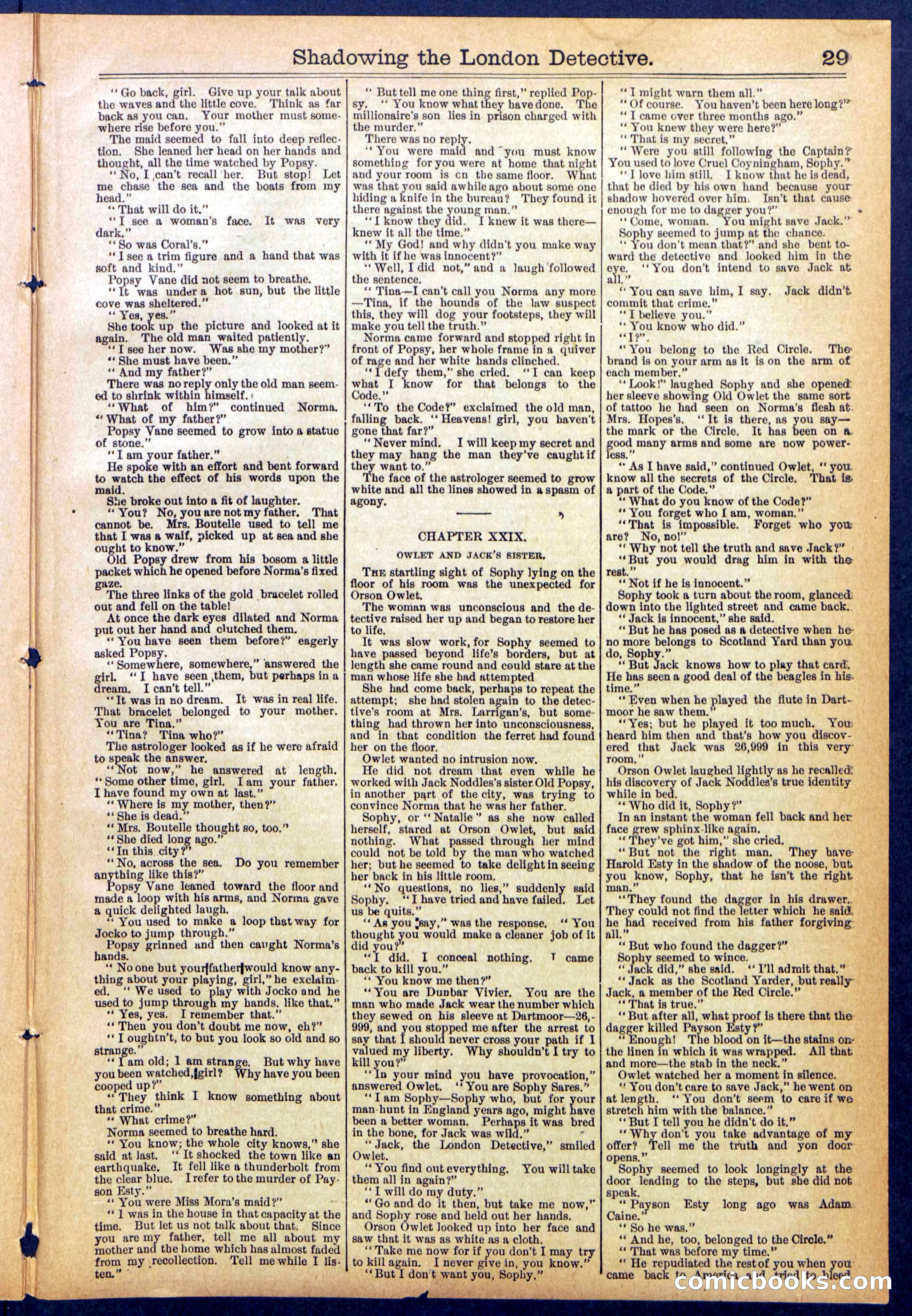 Beadle's Dime Library No. 831 — page 29 of 32
