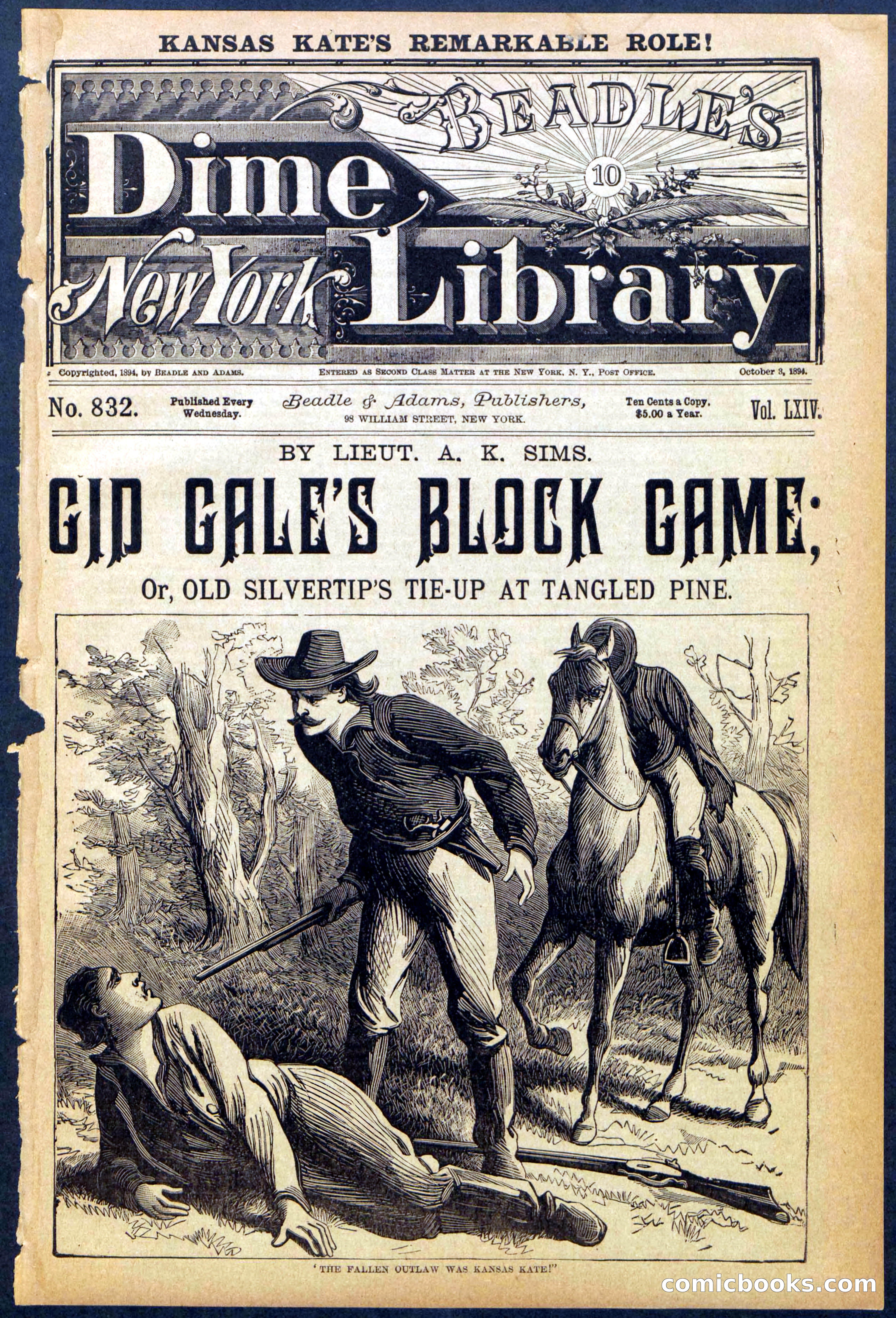 Beadle's New York Dime Library No. 832 — page 1 of 32