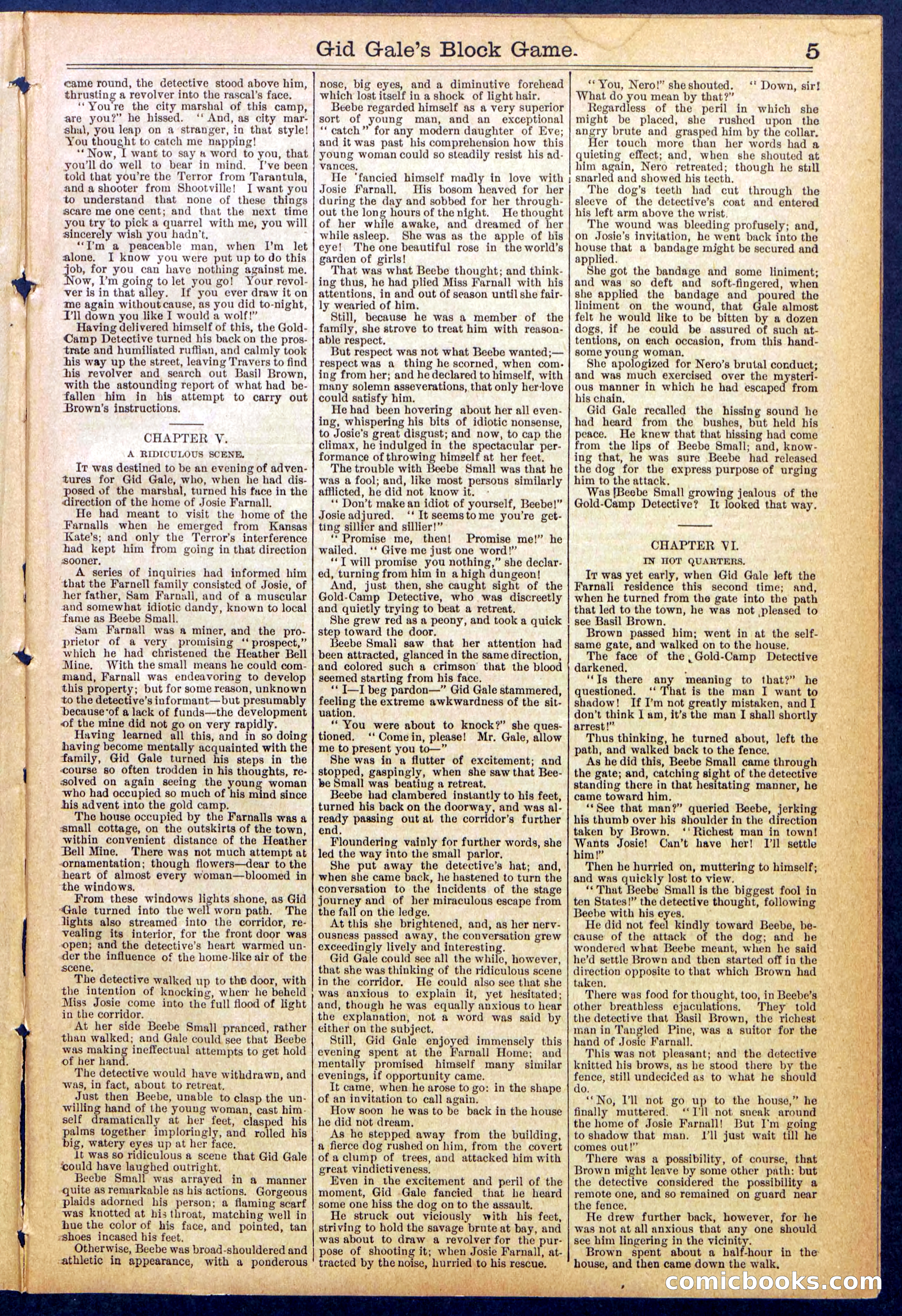 Beadle's New York Dime Library No. 832 — page 5 of 32