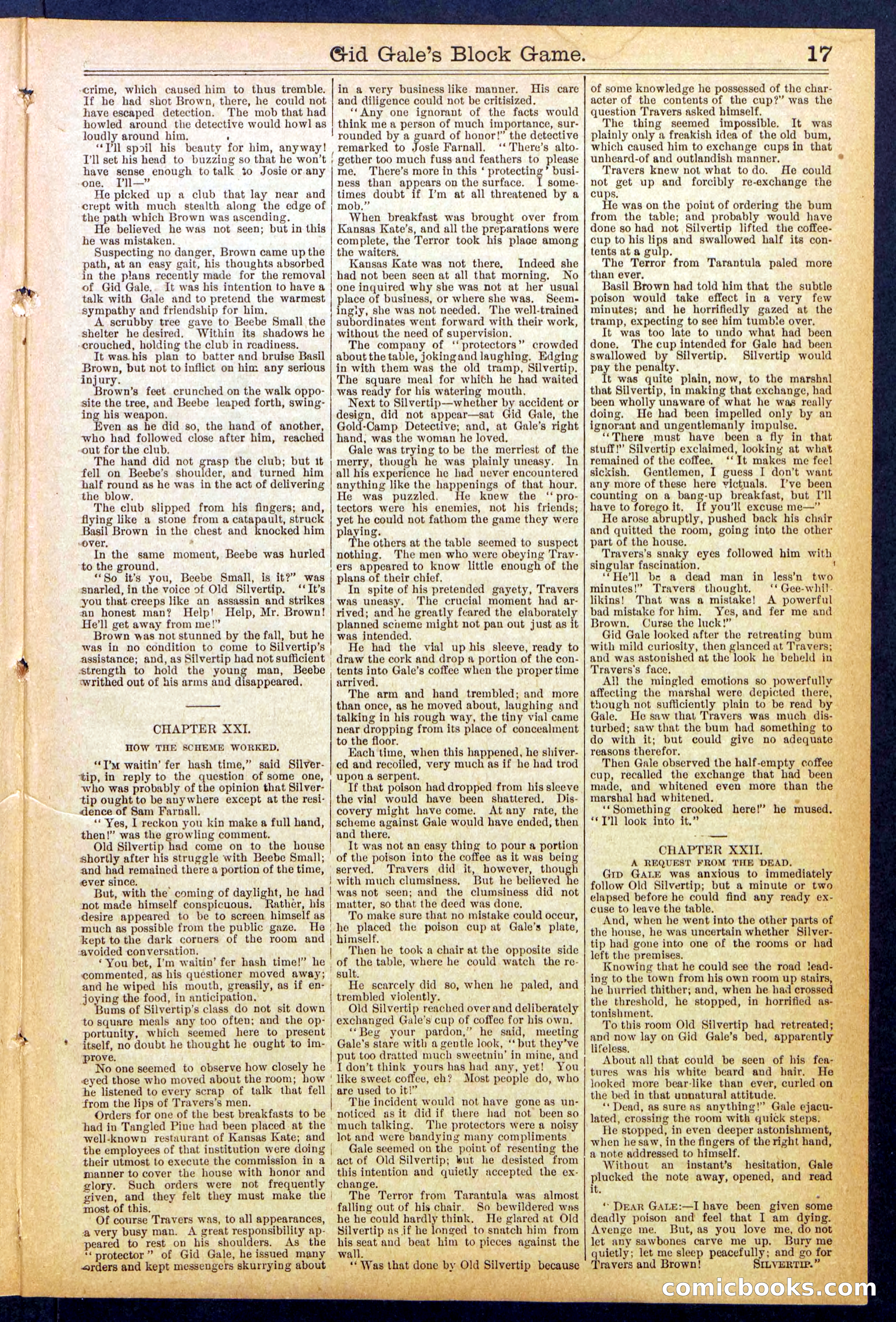Beadle's New York Dime Library No. 832 — page 17 of 32