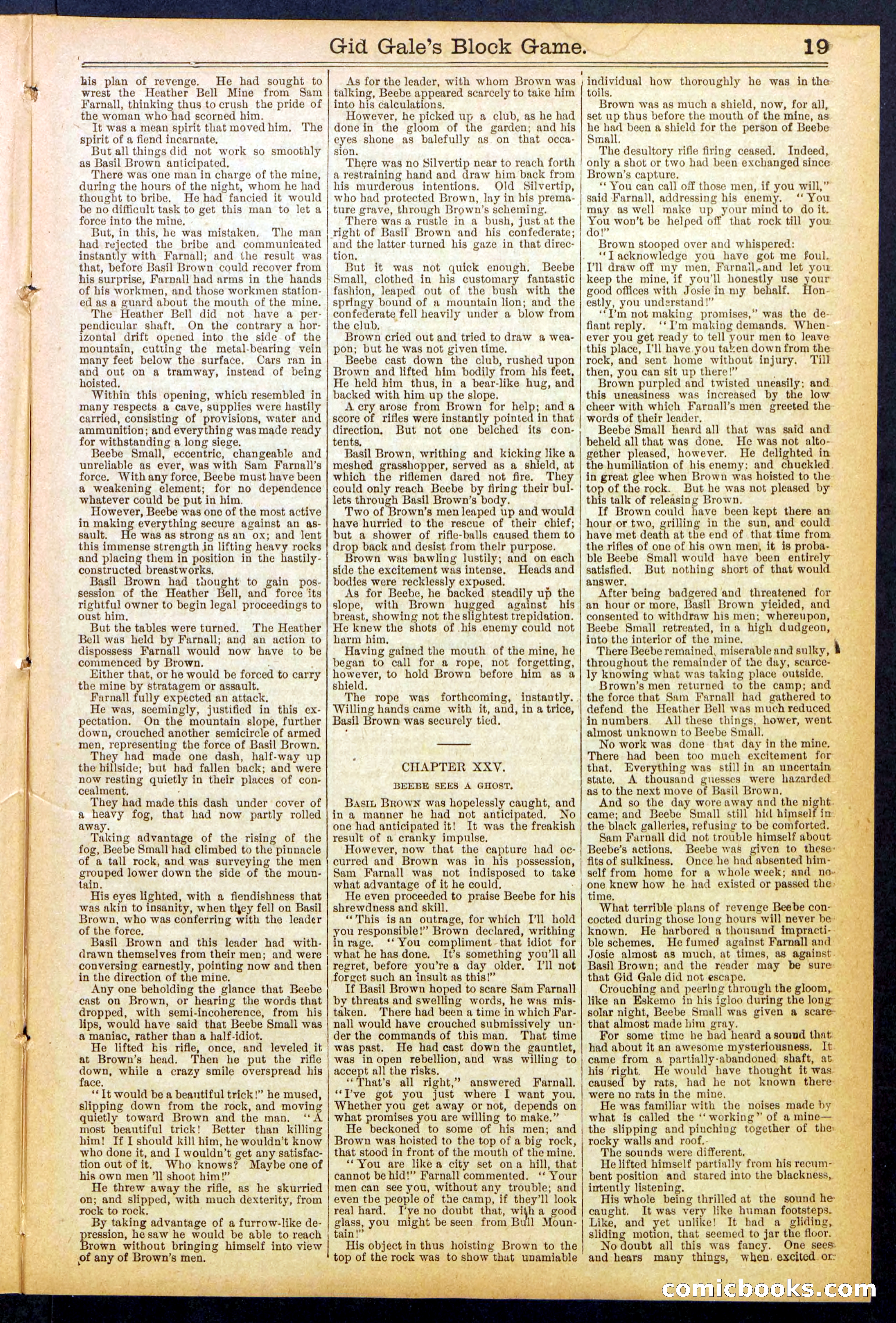 Beadle's New York Dime Library No. 832 — page 19 of 32