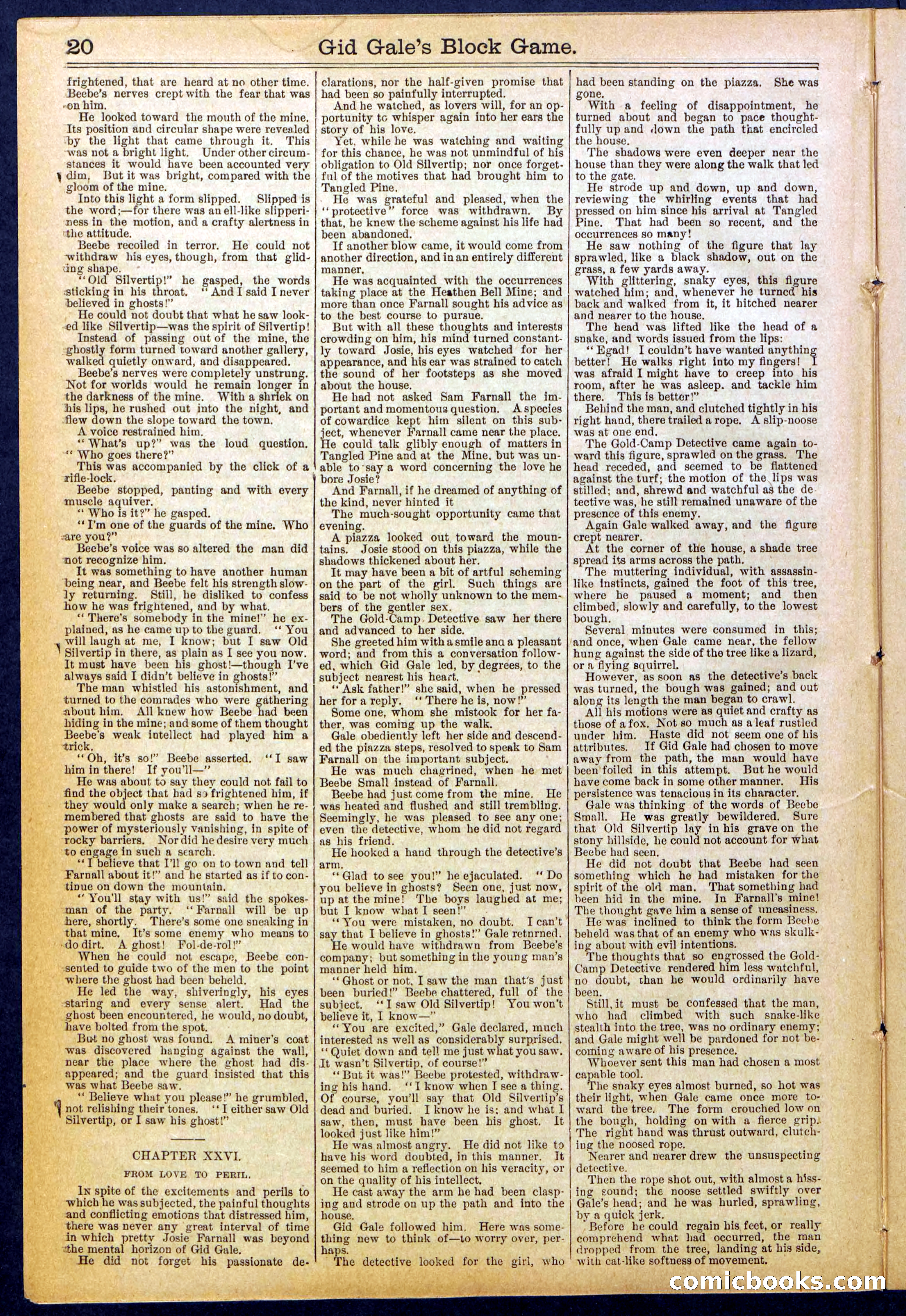 Beadle's New York Dime Library No. 832 — page 20 of 32