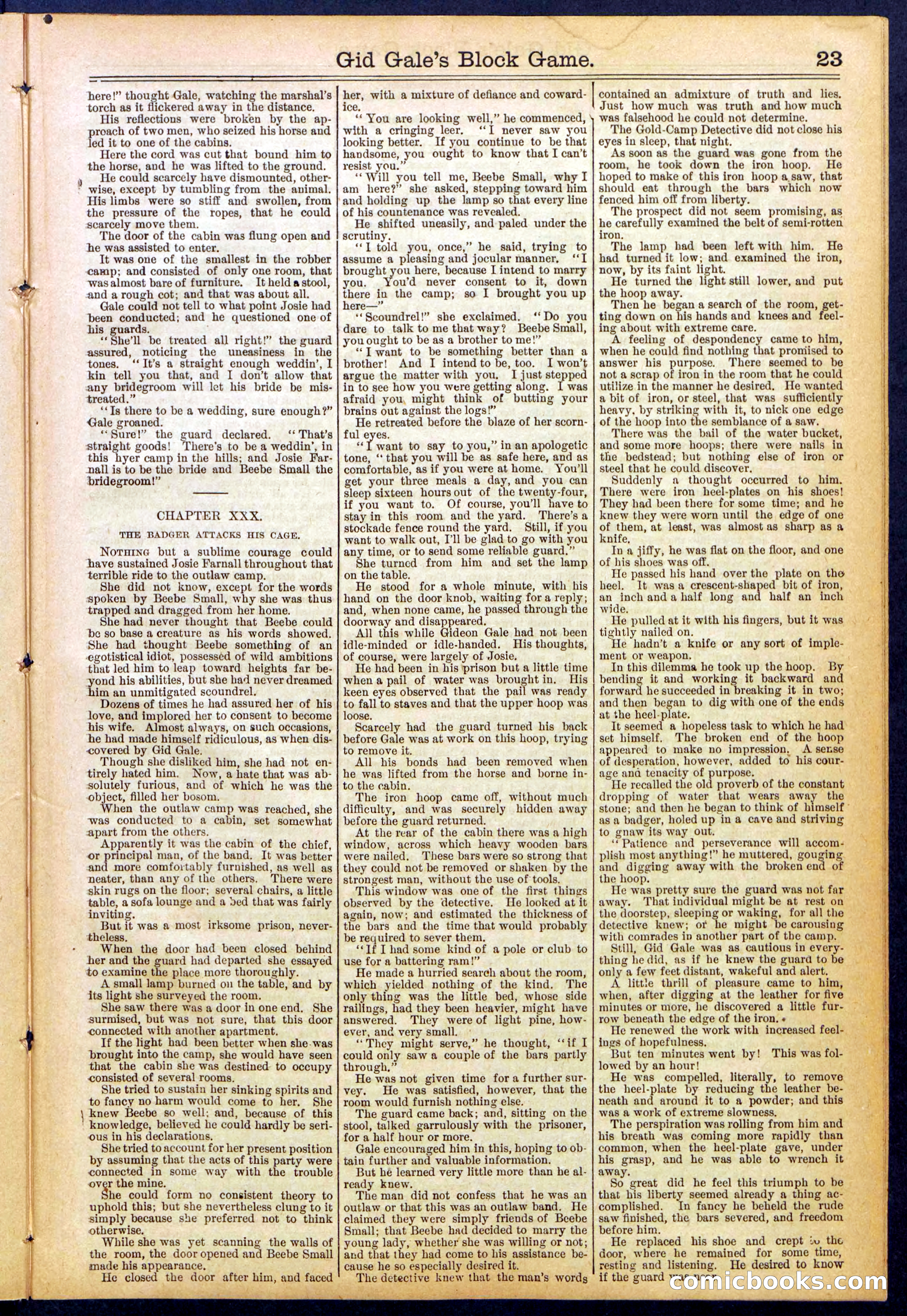 Beadle's New York Dime Library No. 832 — page 23 of 32