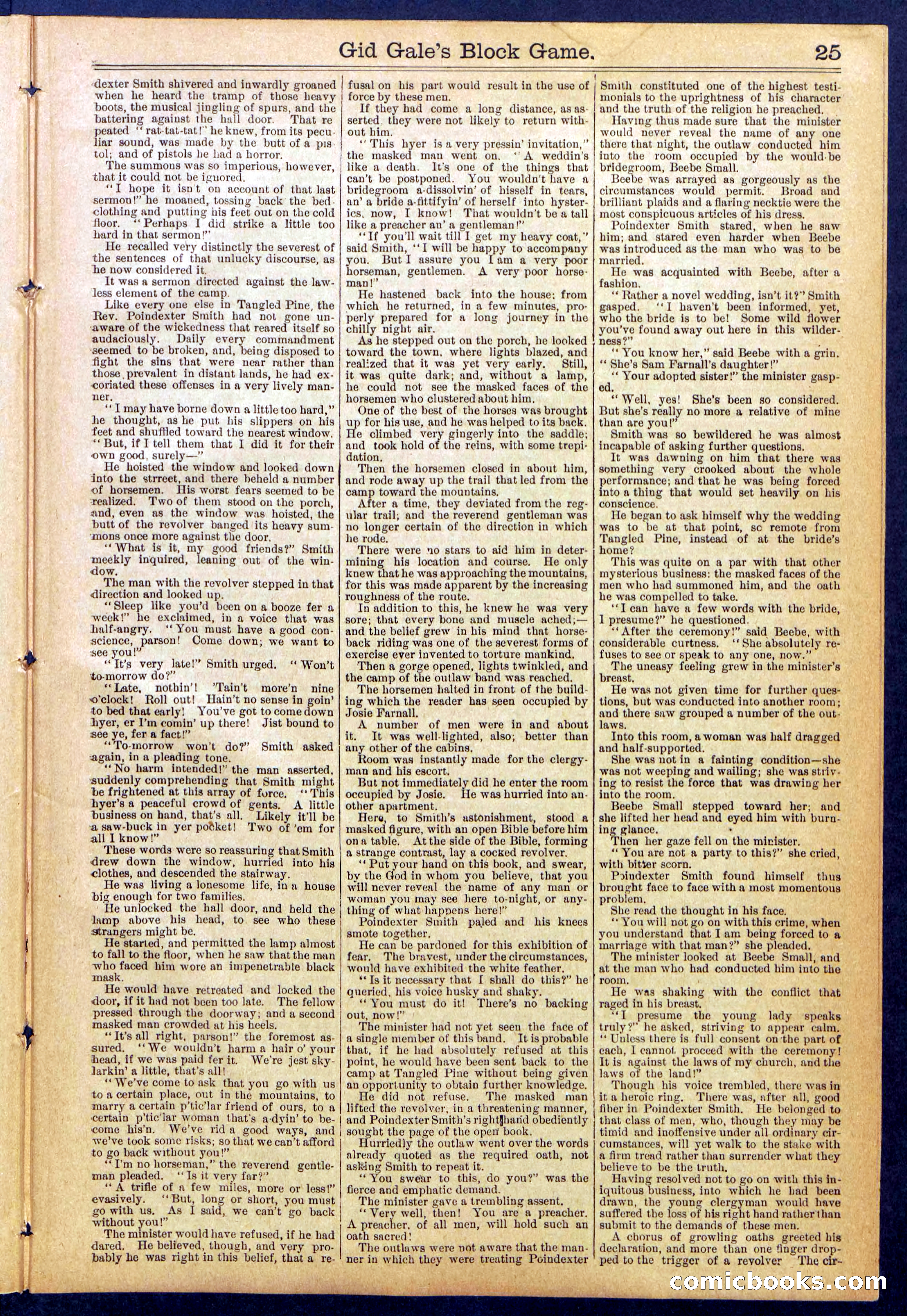 Beadle's New York Dime Library No. 832 — page 25 of 32