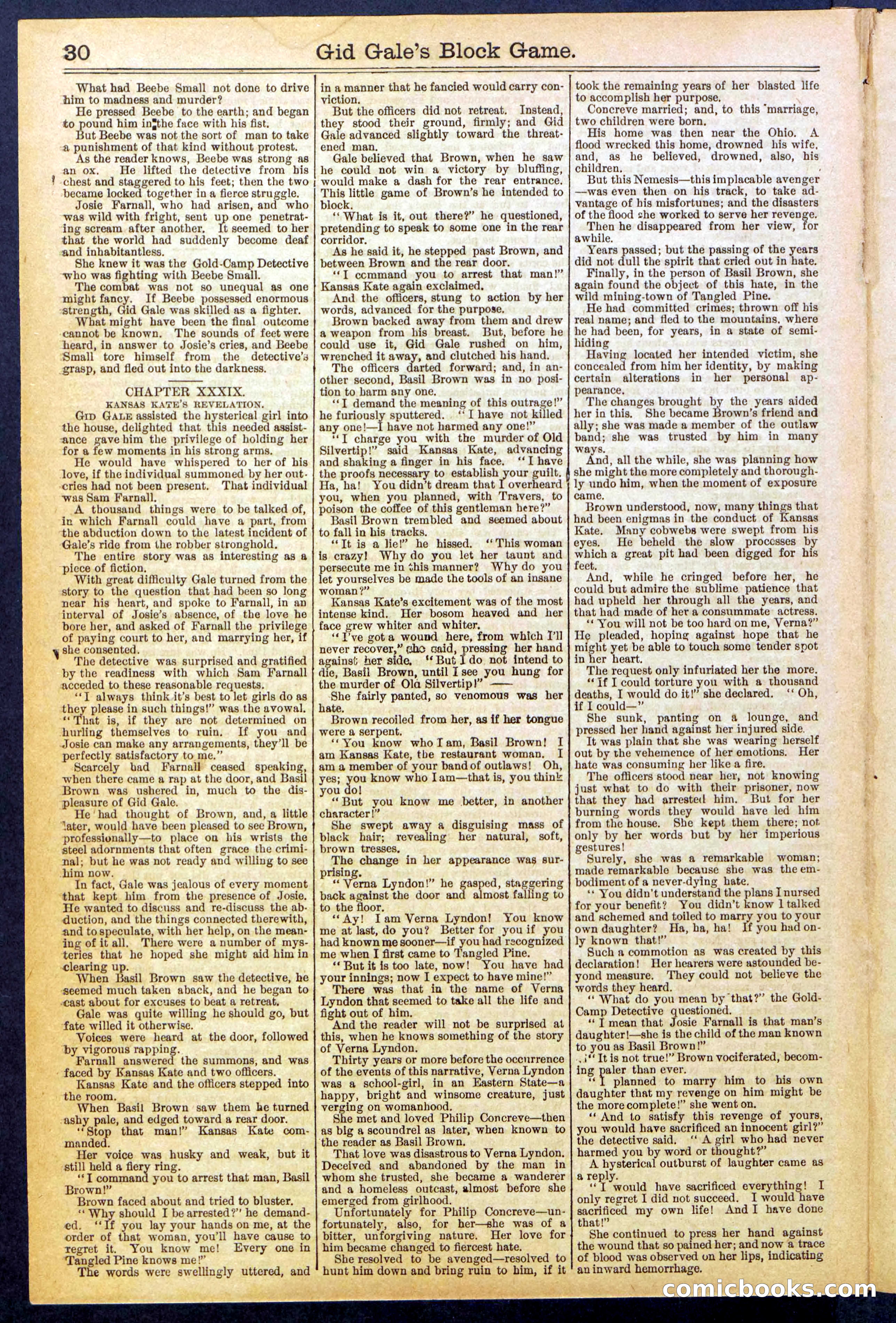 Beadle's New York Dime Library No. 832 — page 30 of 32
