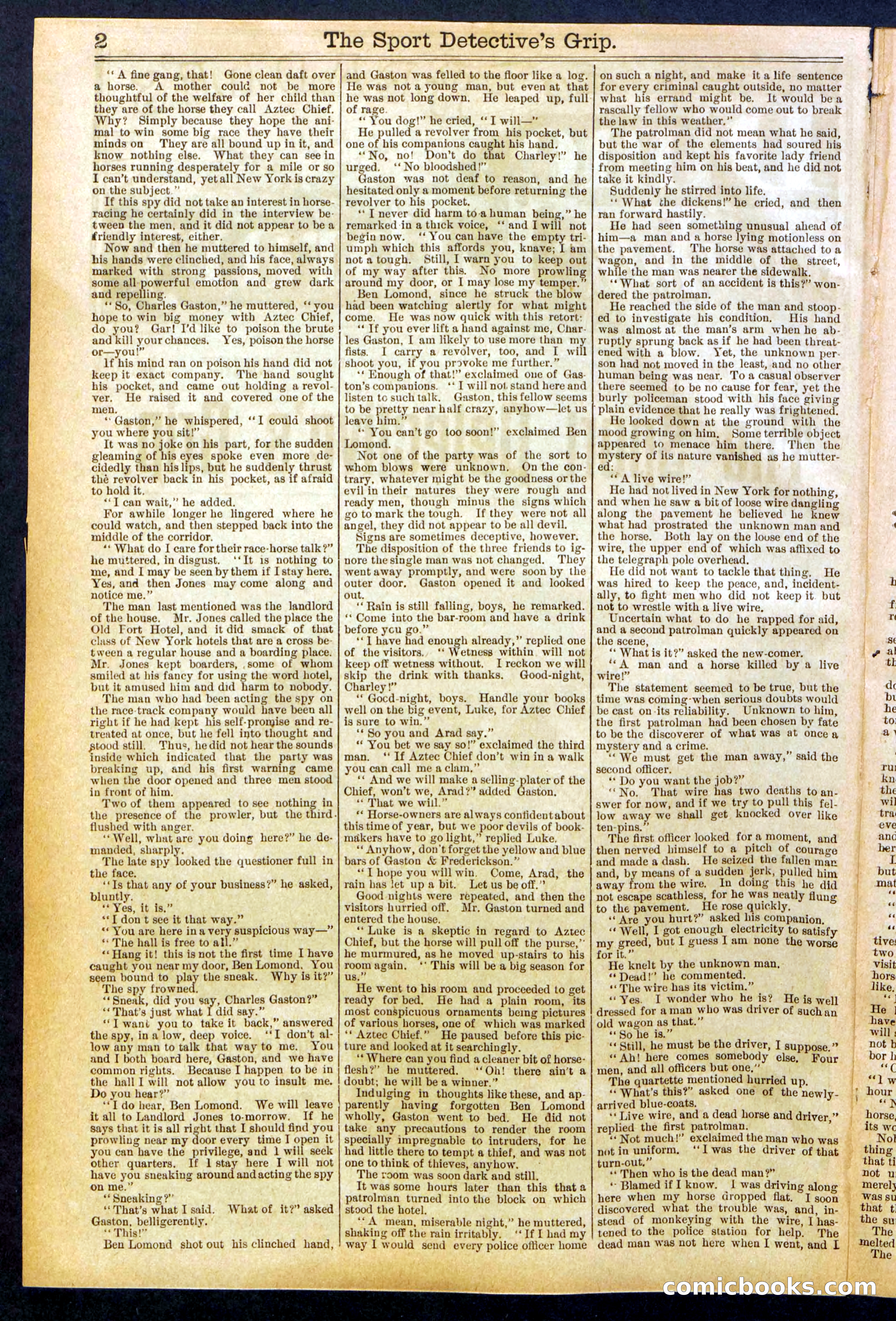 Beadle's New York Dime Library No. 833 — page 2 of 32
