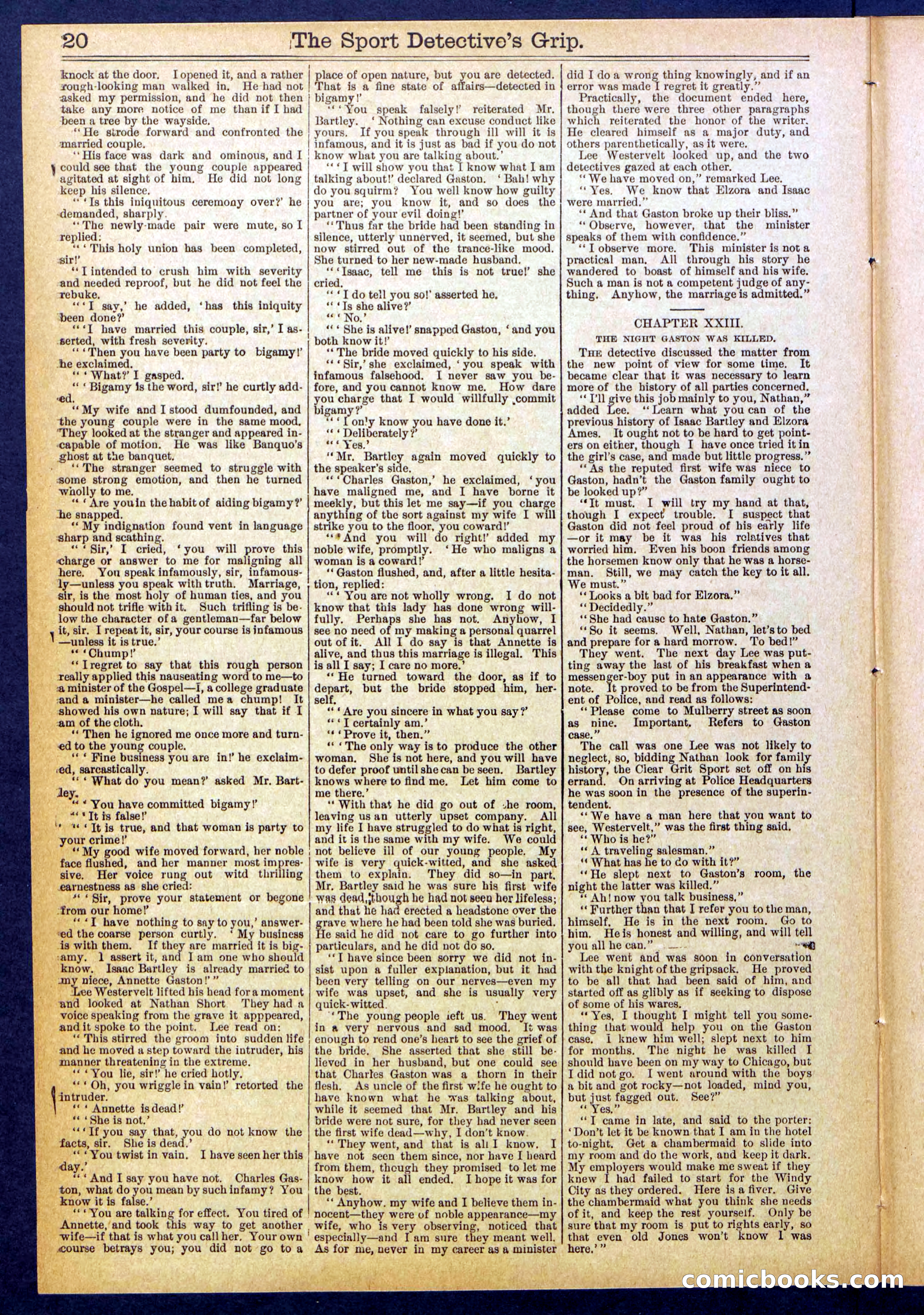 Beadle's New York Dime Library No. 833 — page 20 of 32