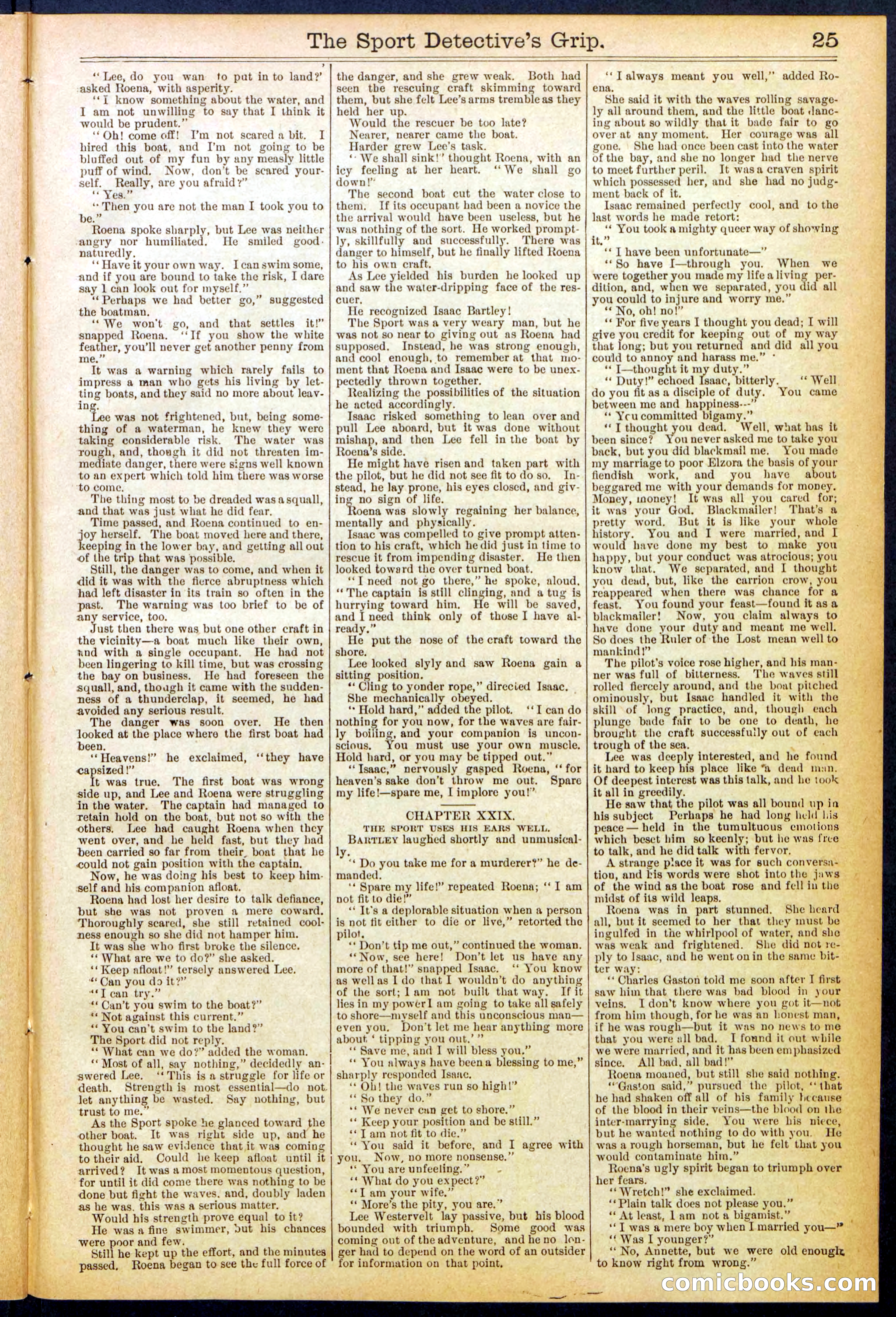 Beadle's New York Dime Library No. 833 — page 25 of 32