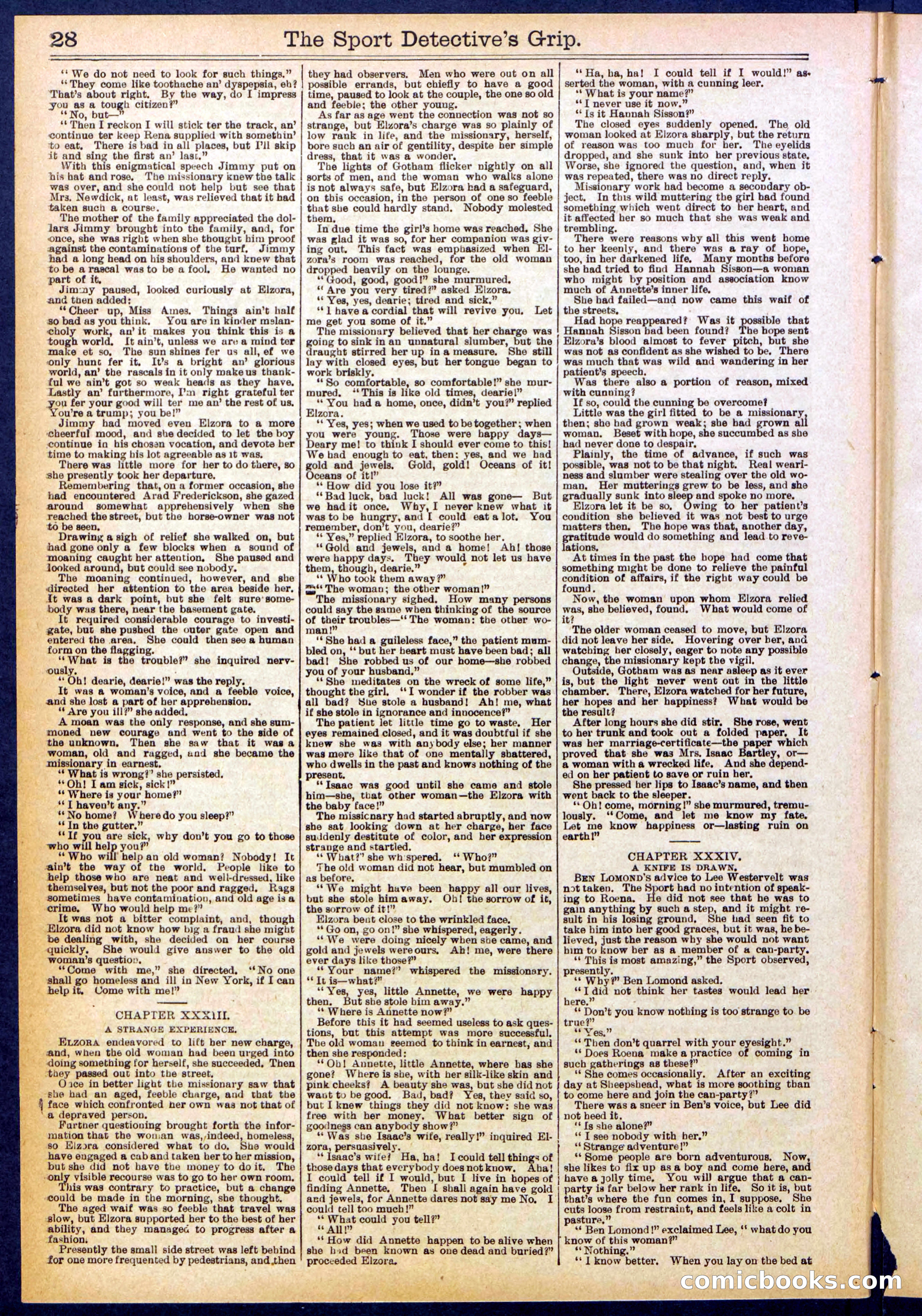 Beadle's New York Dime Library No. 833 — page 28 of 32