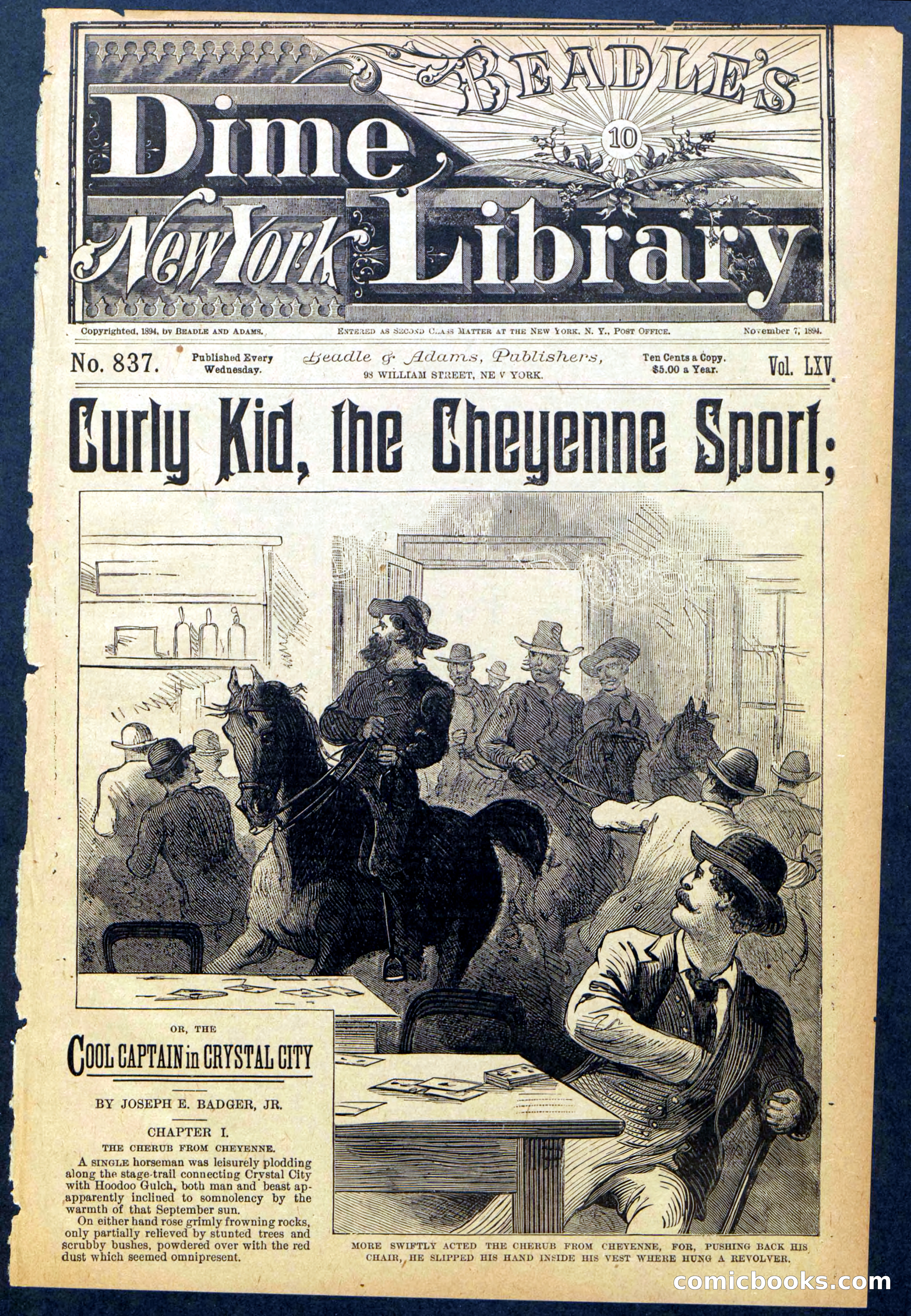 Beadle's New York Dime Library, No. 837 — page 1 of 32