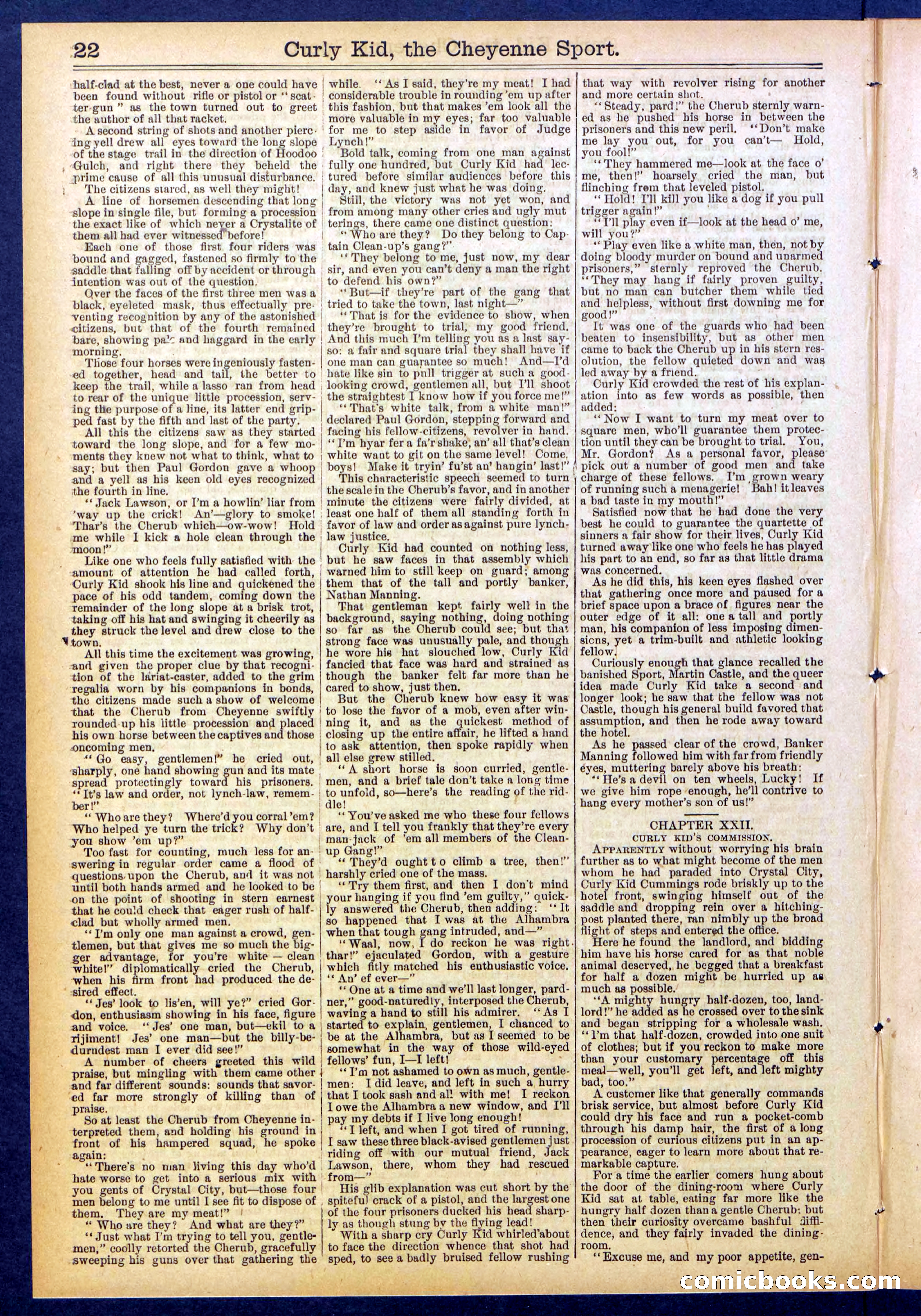 Beadle's New York Dime Library, No. 837 — page 22 of 32
